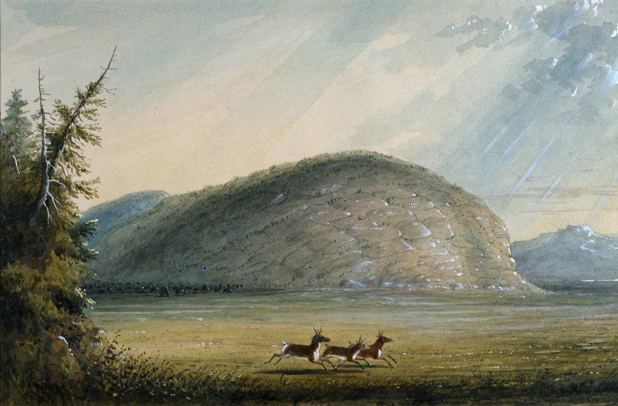Skała Niepodległości autorstwa Alfred Jacob Miller