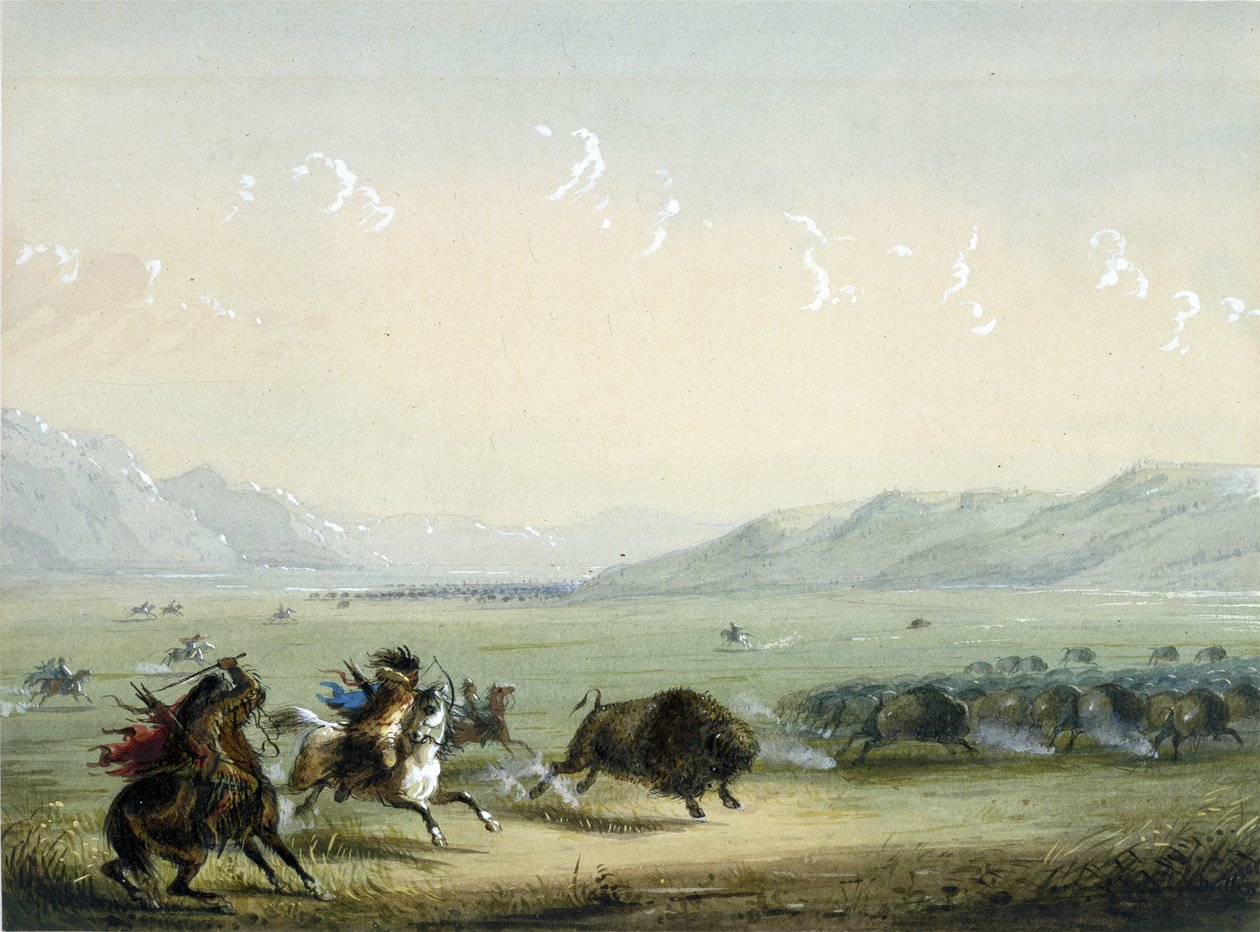 Biegnący bizon autorstwa Alfred Jacob Miller