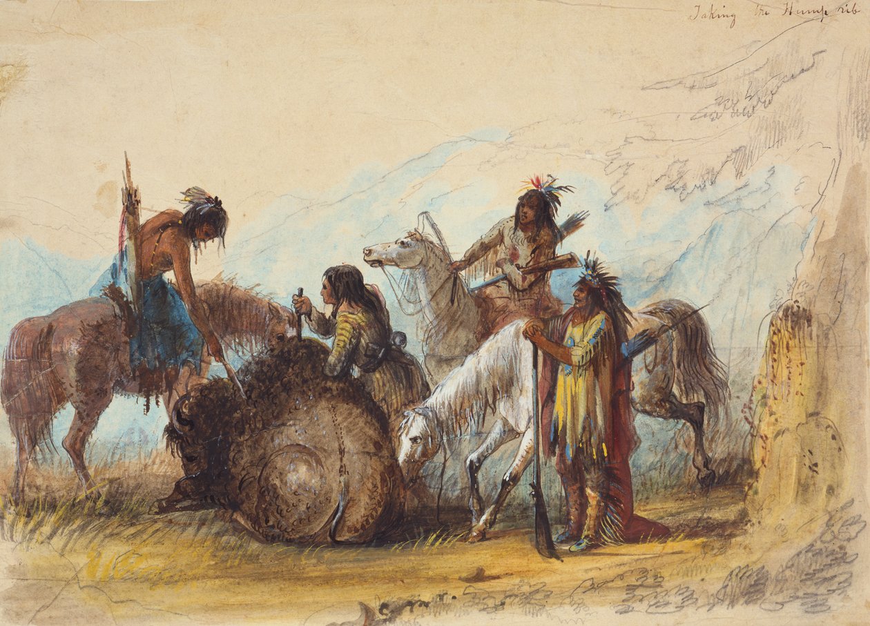 Biorąc żebro garbowe, ok. 1858 (ołówek, akwarela i gwasz na papierze) autorstwa Alfred Jacob Miller
