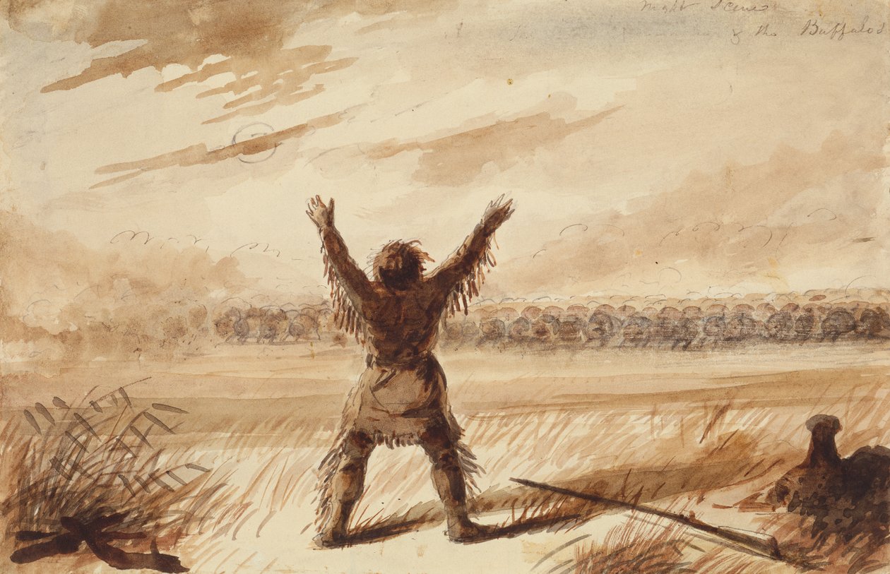 Traper zakłócony w spoczynku przez stado bawołów, ok. 1837 (ołówek, długopis i atrament, pranie na papierze) autorstwa Alfred Jacob Miller