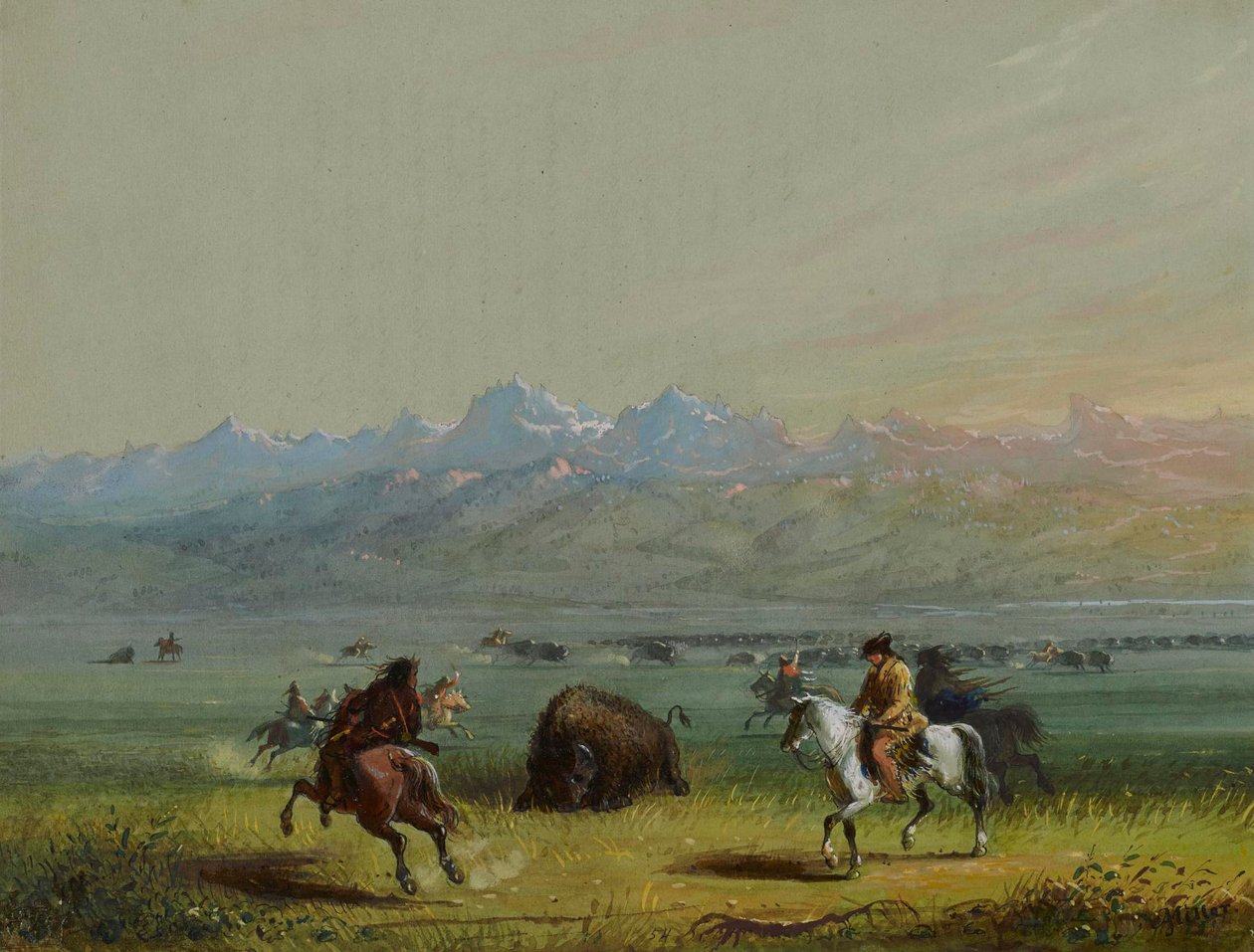 Ranny bizon autorstwa Alfred Jacob Miller