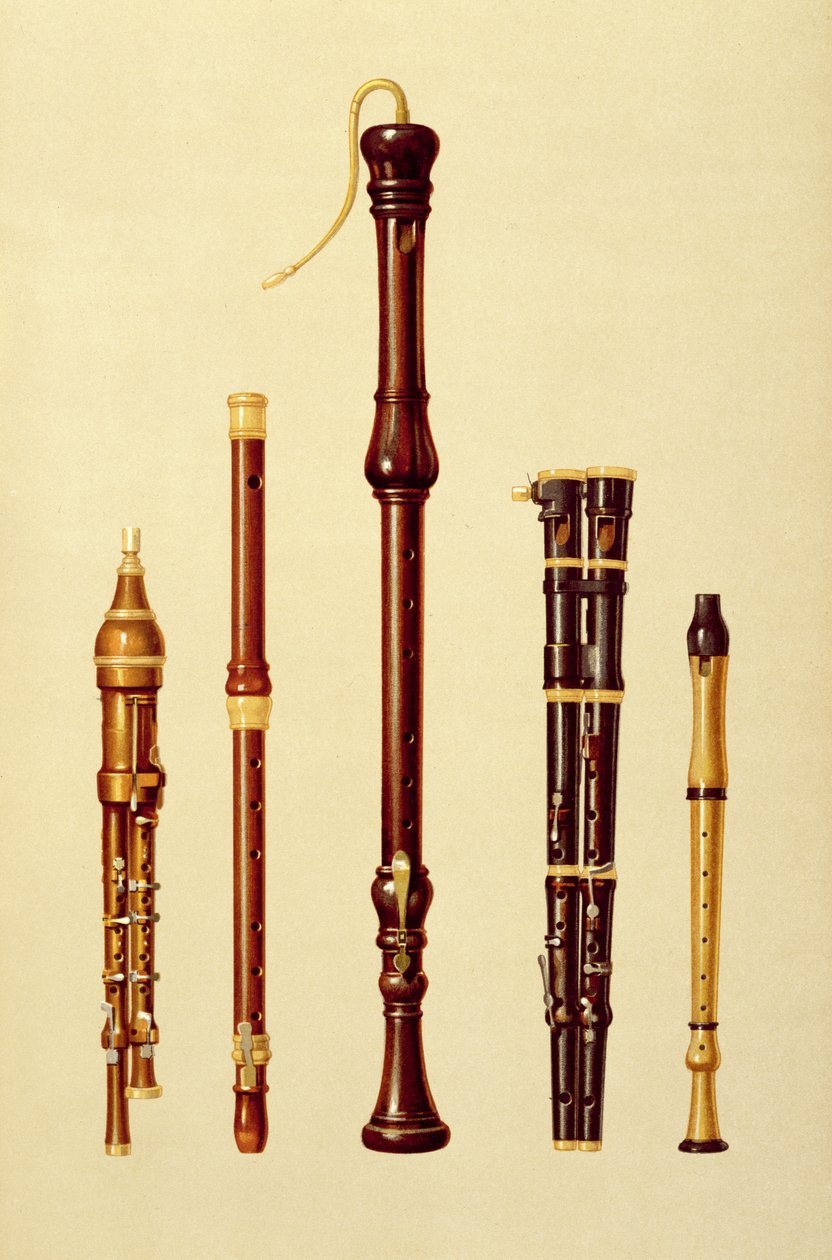 Podwójny flageolet, flet niemiecki, flet prosty, podwójny flageolet i flet prosty z „Instrumentów muzycznych” (litografia kolorowa) autorstwa Alfred James Hipkins