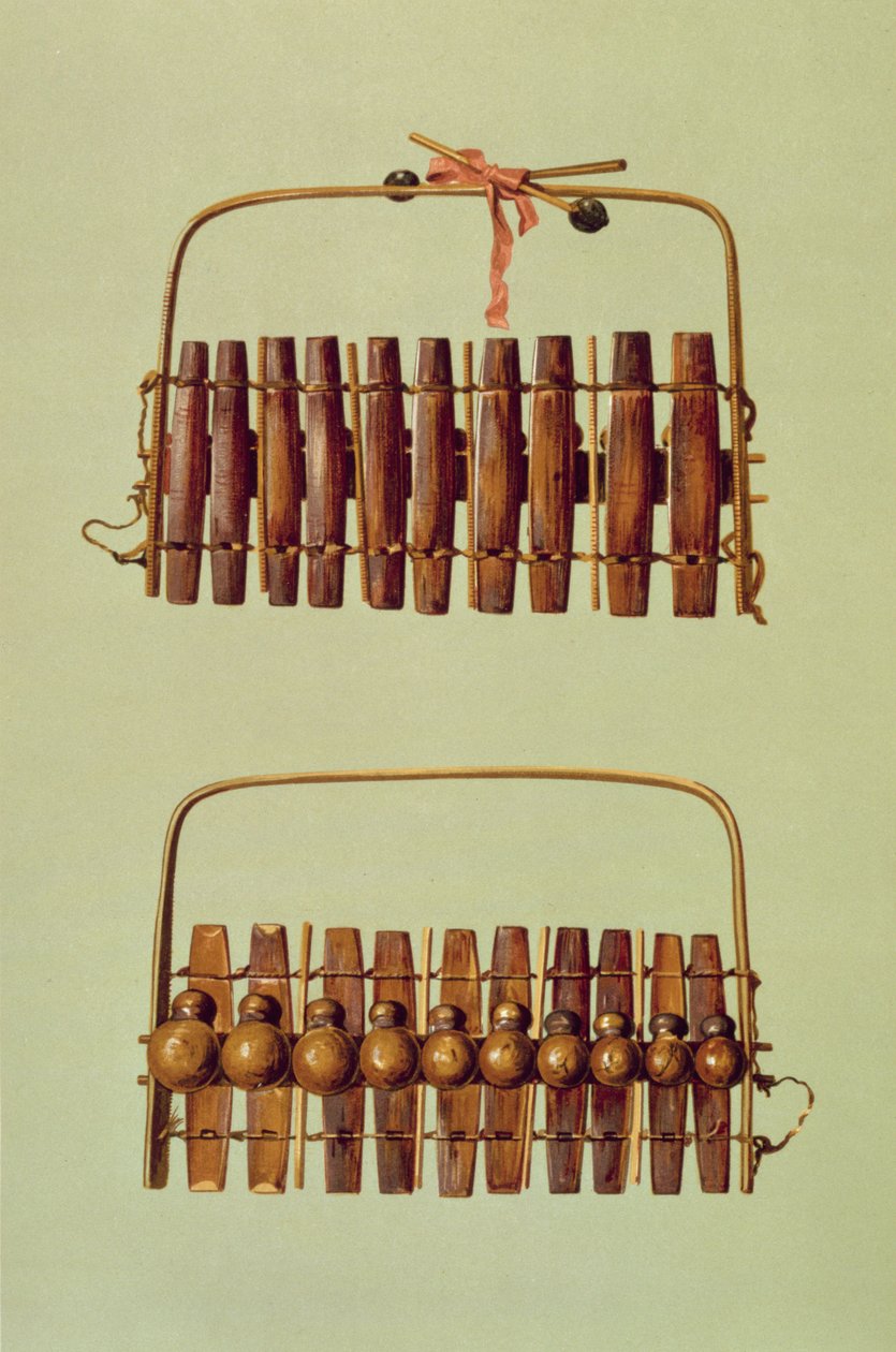 Marimba, widok z przodu i z tyłu, RPA, z "Instrumentów Muzycznych" (litografia kolorowa) autorstwa Alfred James Hipkins