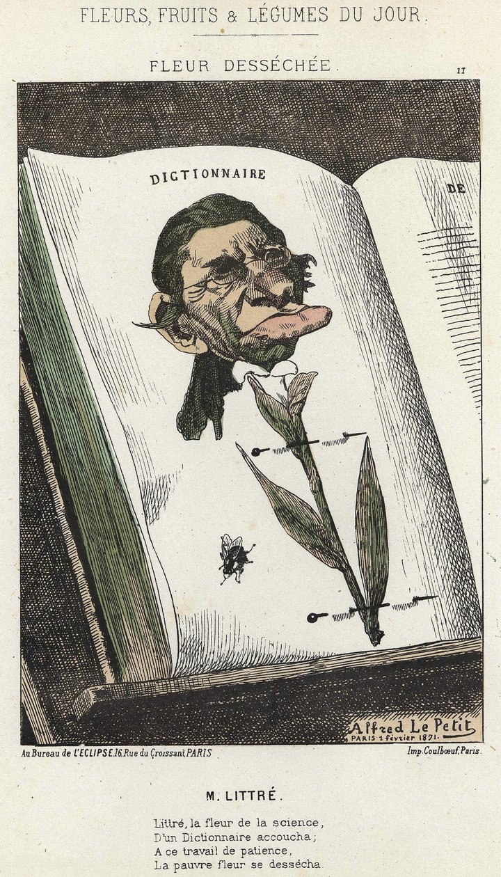Kwiat Déséchée: kreskówka na Littré - il. od 01.02.1871 w „Kwiaty, Owoce i Warzywa Dnia” autorstwa Alfred Le Petit
