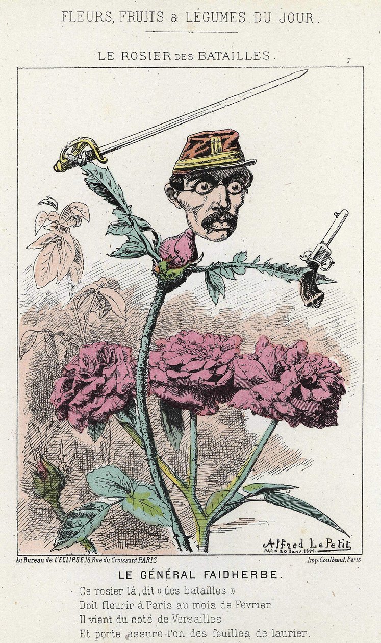 Rosier des Batailles: rysunek o generale Faidherbe - chor. z 20.01.1871 w „Kwiaty, Owoce i Warzywa Dnia” autorstwa Alfred Le Petit