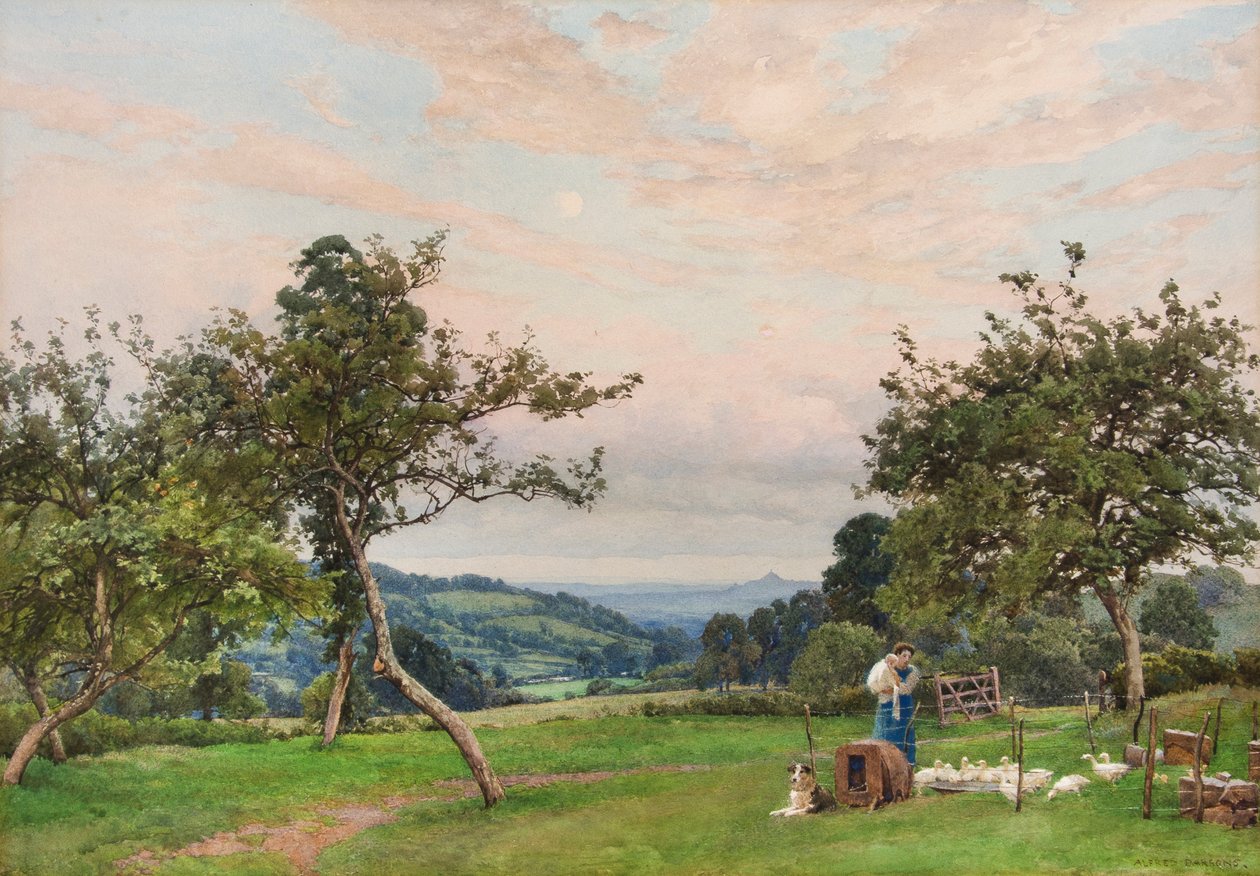 Kacze pióro (akwarela) autorstwa Alfred Parsons