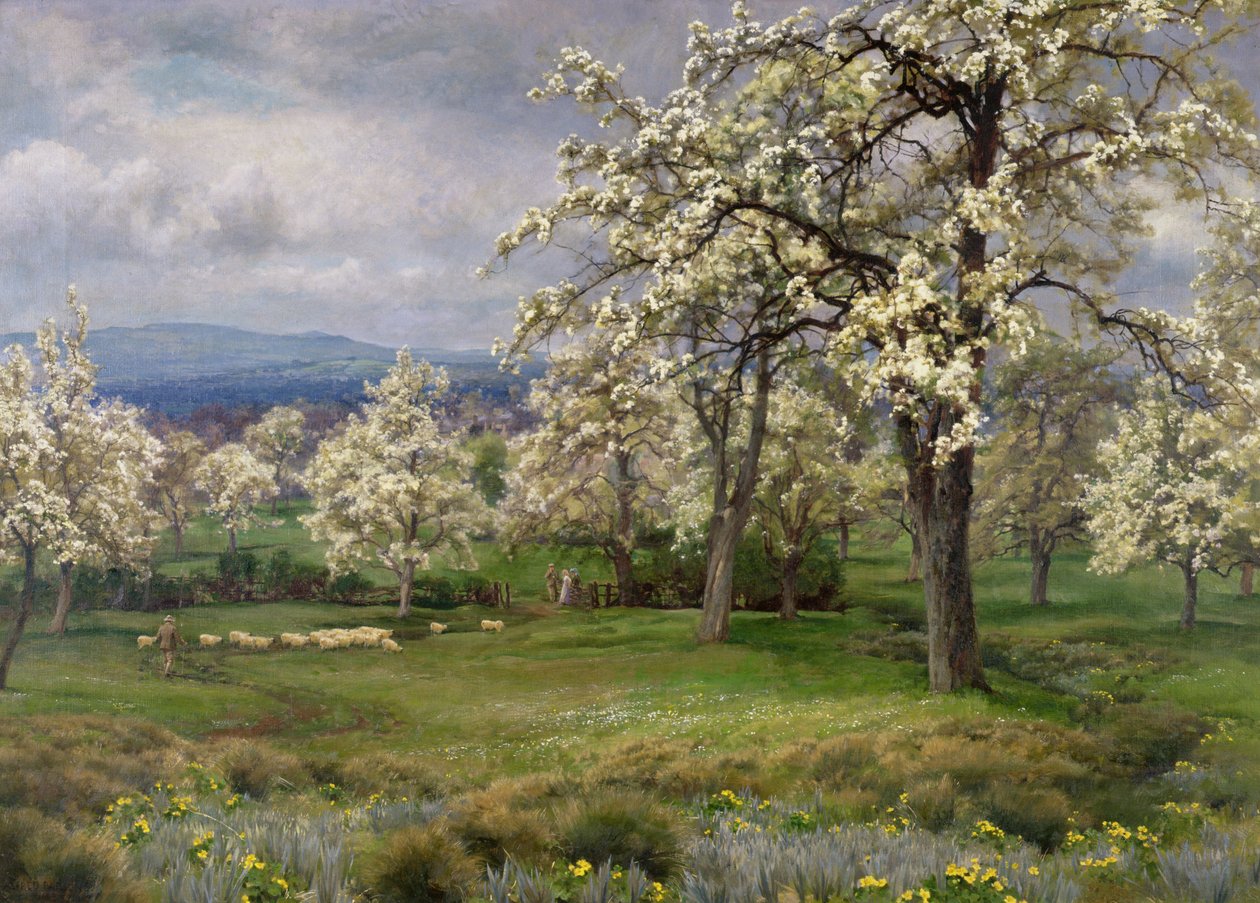 Sad Gruszowy, ok. 1903 autorstwa Alfred Parsons