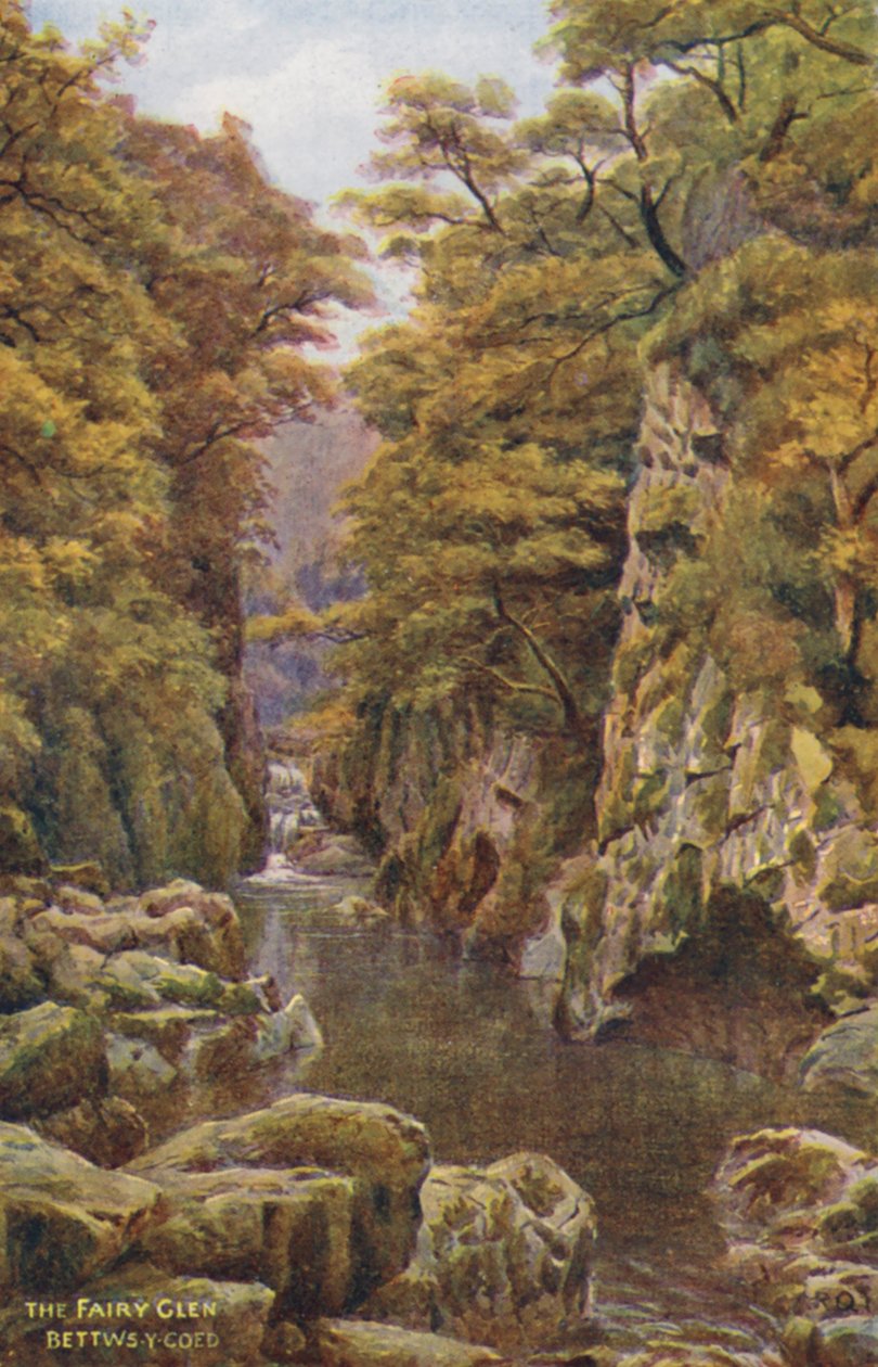 The Fairy Glen, Bettws-Y-Coed (kolorowa litografia) autorstwa Alfred Robert Quinton