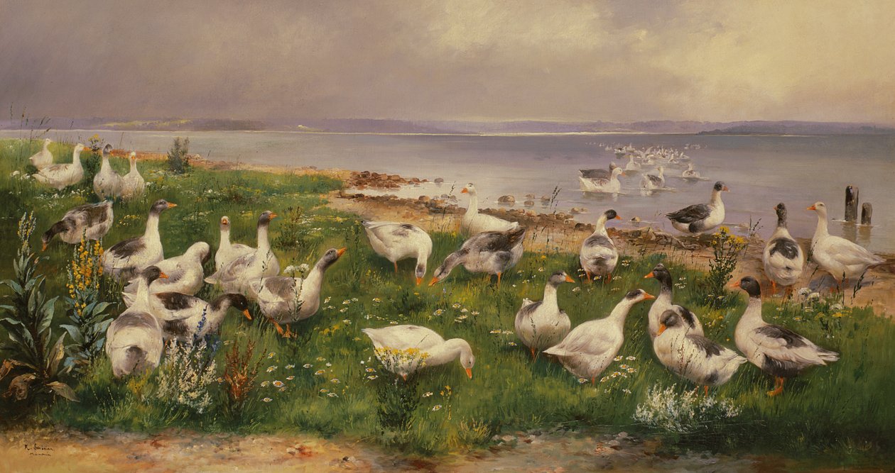 Gęsi autorstwa Alfred Schonian