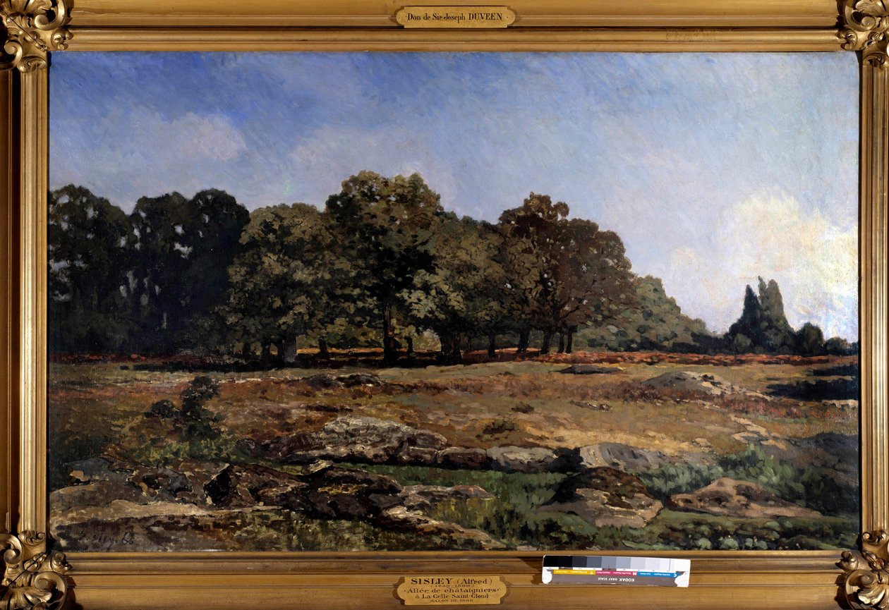 Aleja kasztanowców do Celle saint Cloud autorstwa Alfreda Sisleya (1839-1899) 1865 autorstwa Alfred Sisley