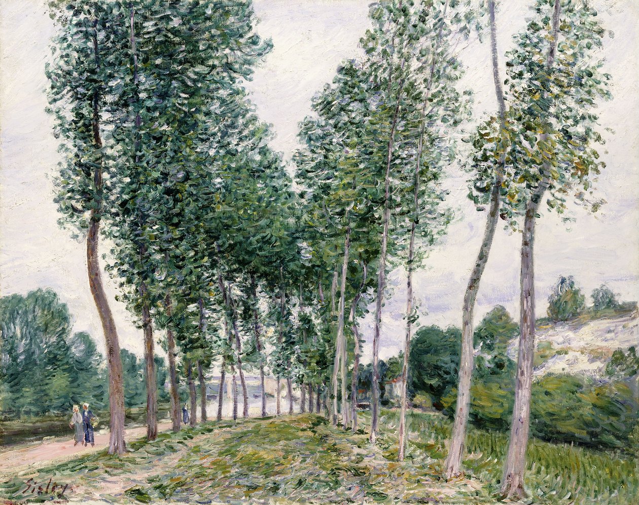 Aleja topoli wzdłuż Loing, 1892 autorstwa Alfred Sisley