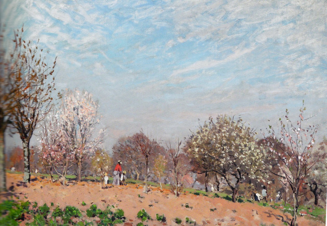 Kwitnące jabłonie w Louveciennes autorstwa Alfred Sisley