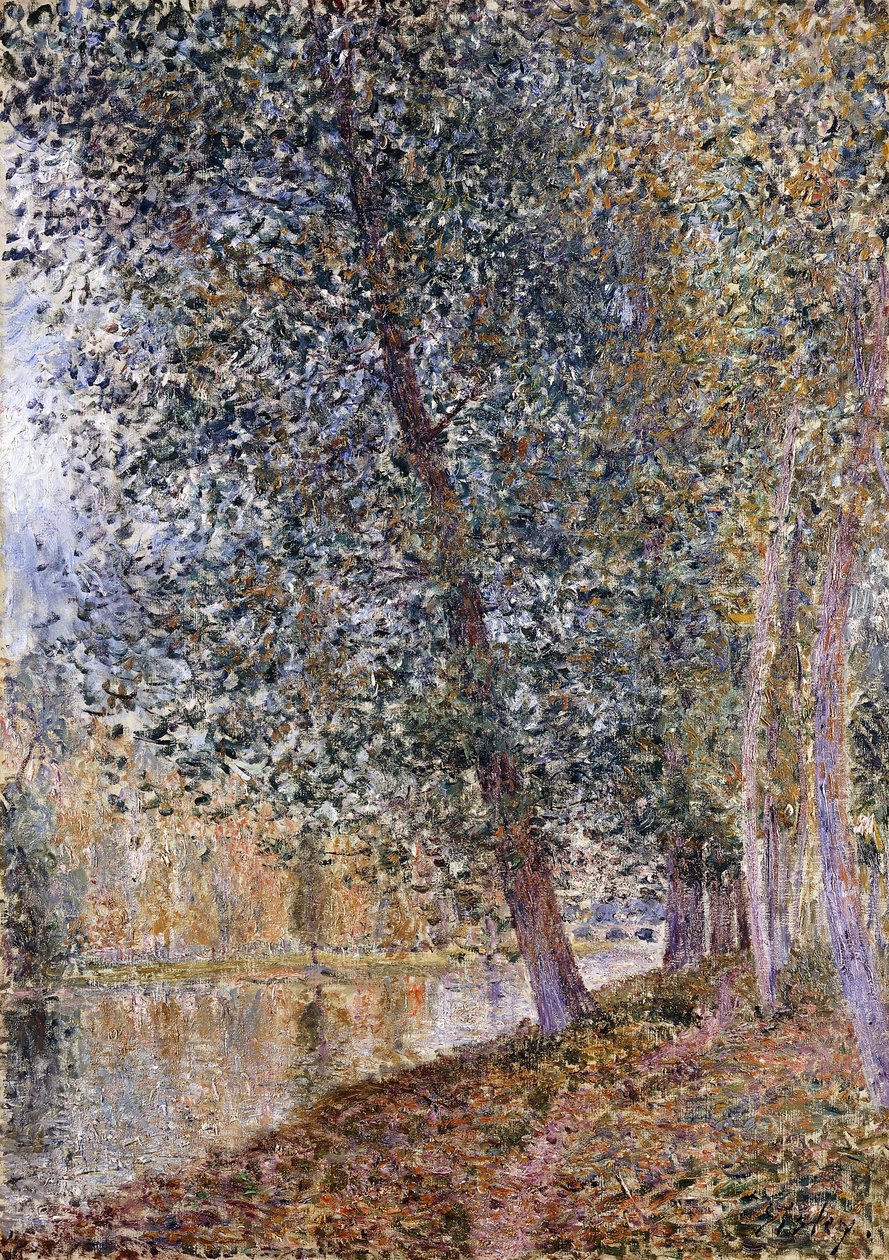 Jesień, brzegi Loingu; L”Jesień, Bords du Loing, 1880 autorstwa Alfred Sisley
