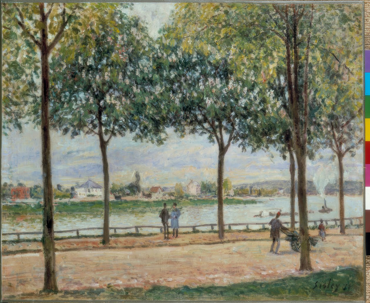 Kasztanowa promenada autorstwa Alfred Sisley