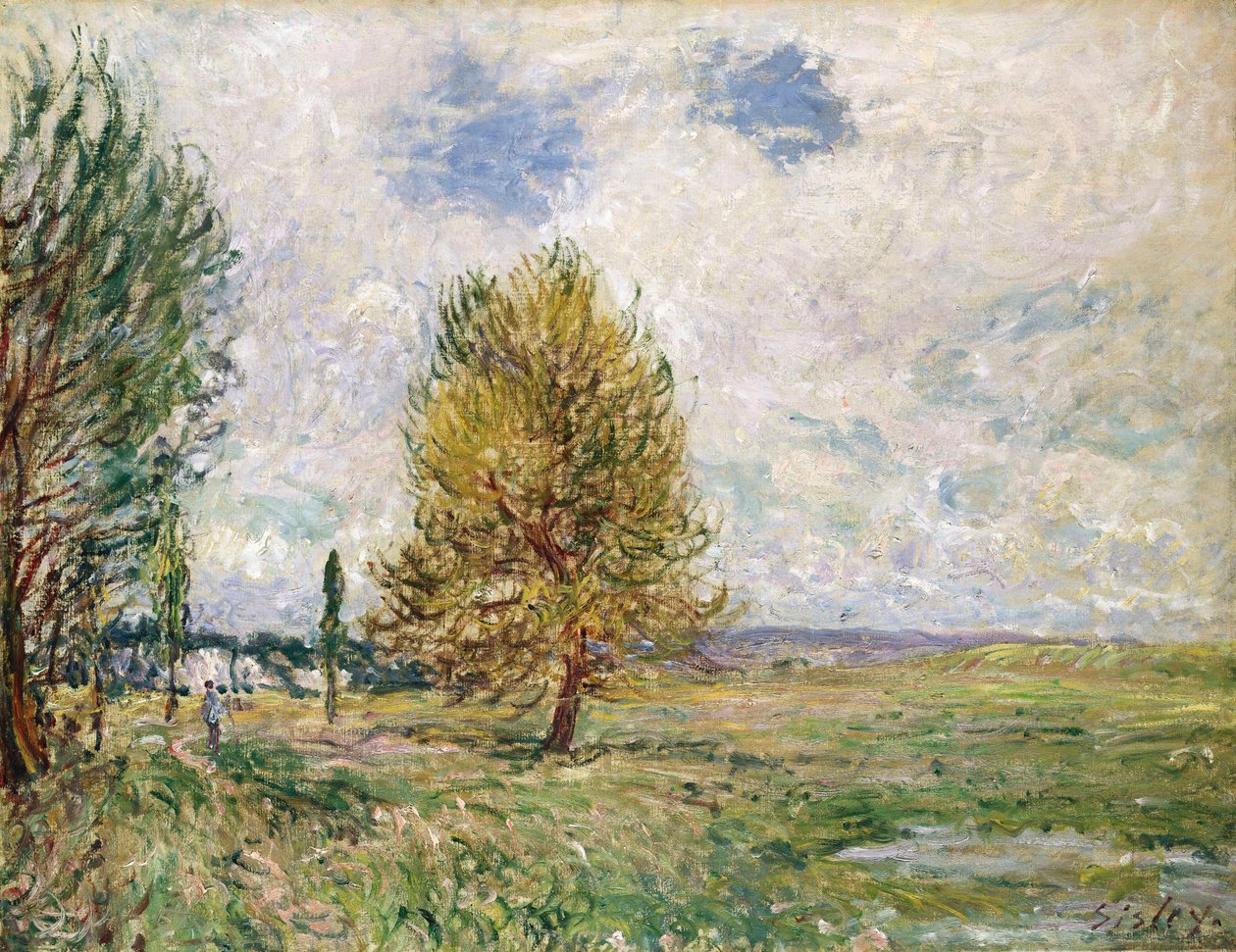 Równina Veneux-Nadon, 1881 autorstwa Alfred Sisley