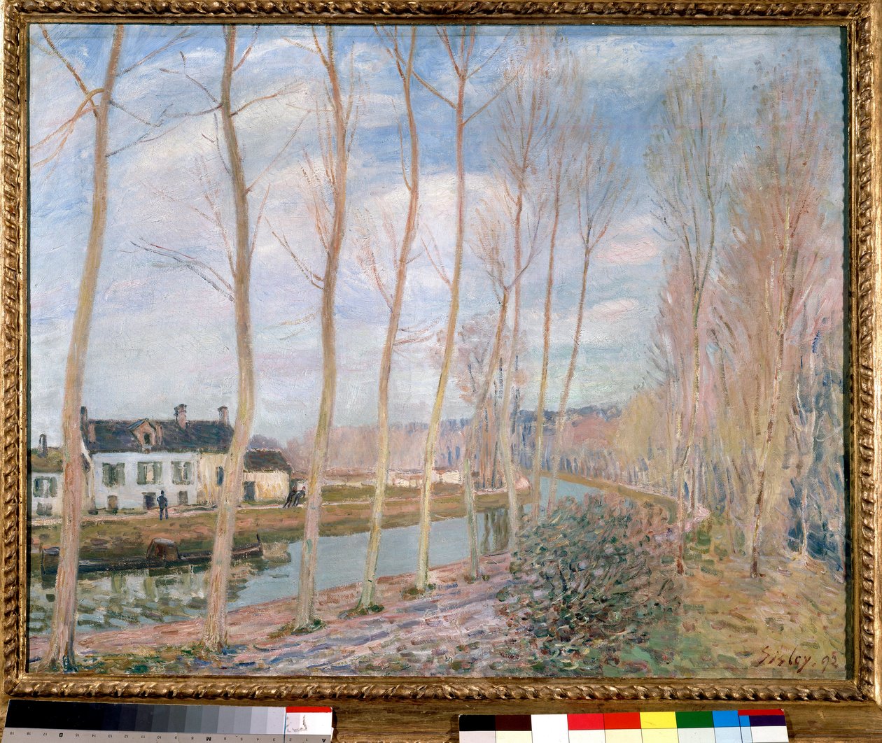 Obraz Kanał Loing autorstwa Alfreda Sisleya (1839-1899) 1892 Nd. 0,73x0,93 m Paryż, Muzeum Orsay autorstwa Alfred Sisley
