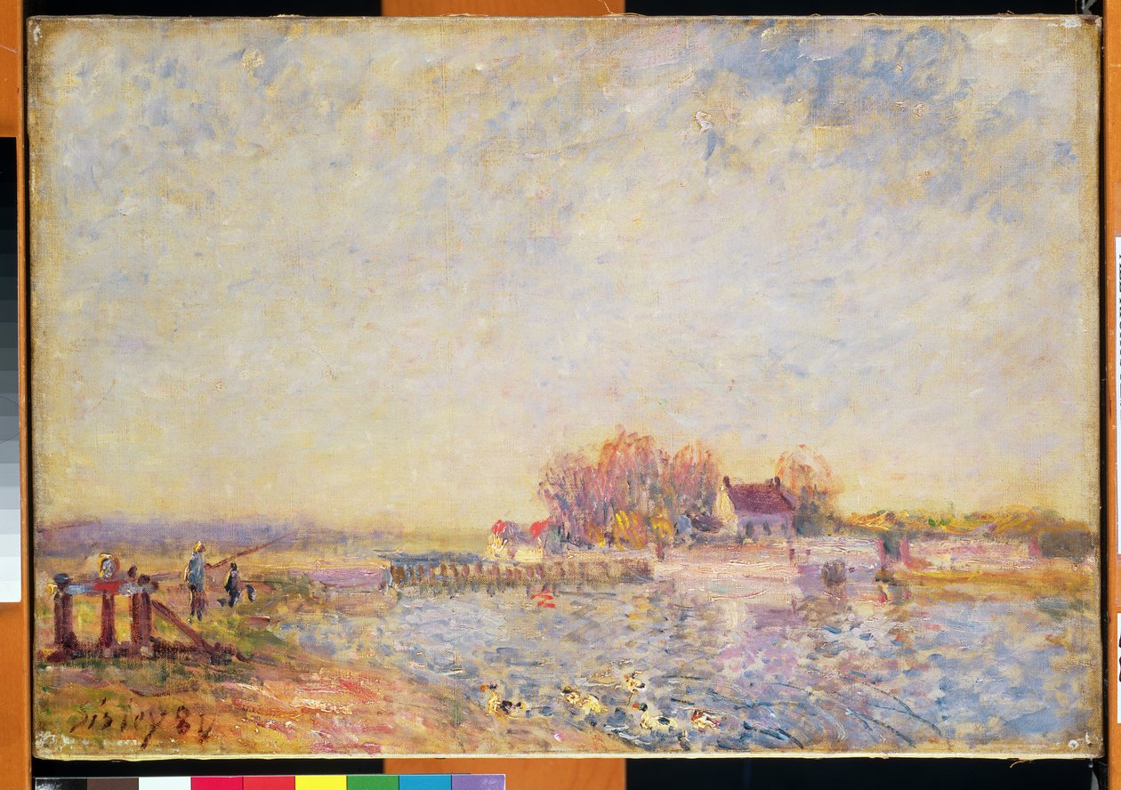 Scena rzeczna z kaczkami, 1881 autorstwa Alfred Sisley