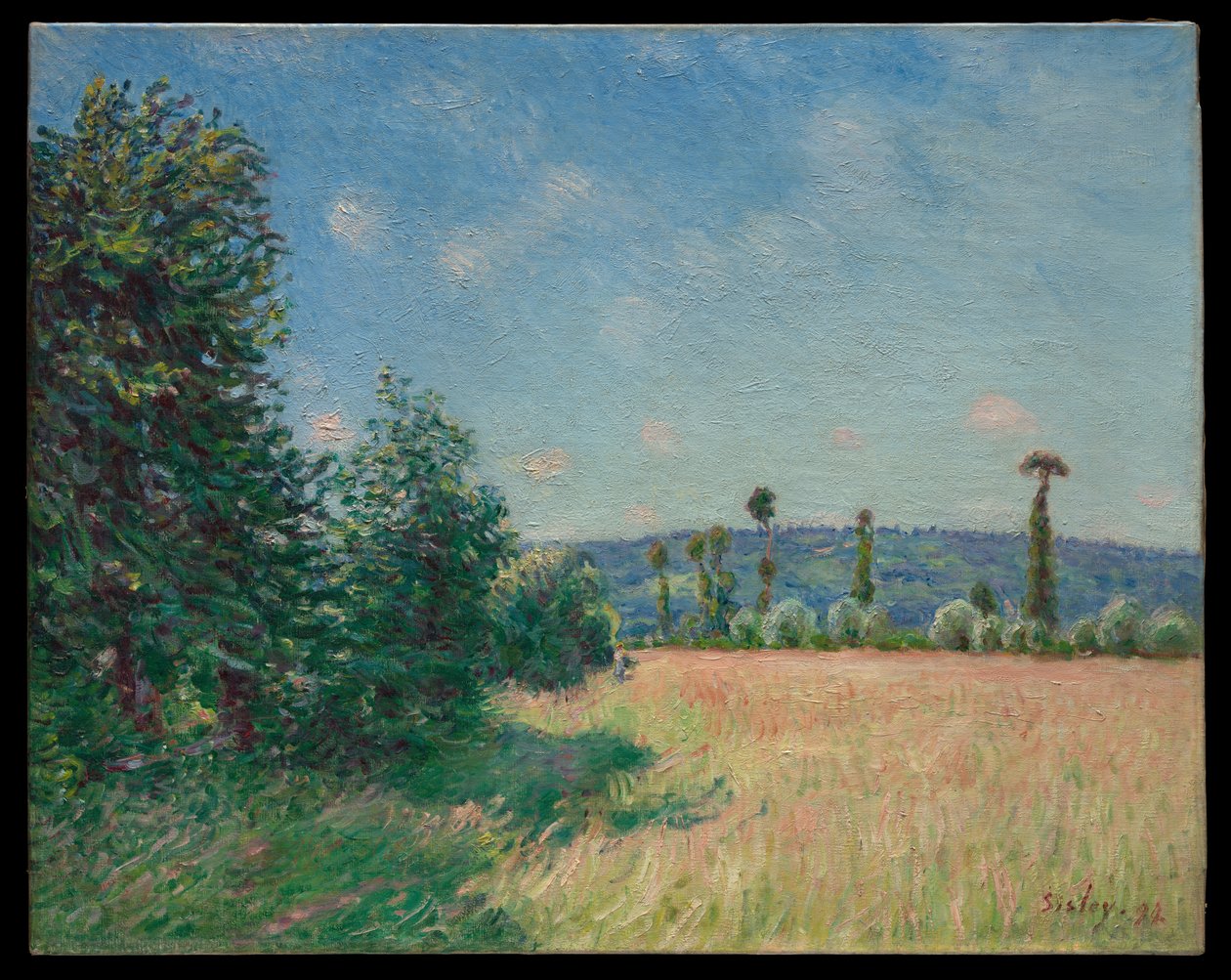 Łąki w Sahurs w porannym słońcu autorstwa Alfred Sisley