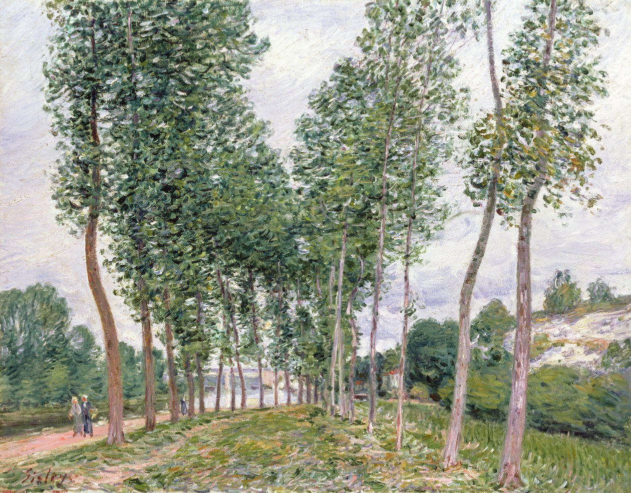 Aleja topoli wzdłuż brzegów Loing autorstwa Alfred Sisley