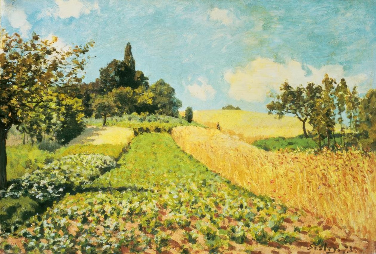 Pole pszenicy autorstwa Alfred Sisley