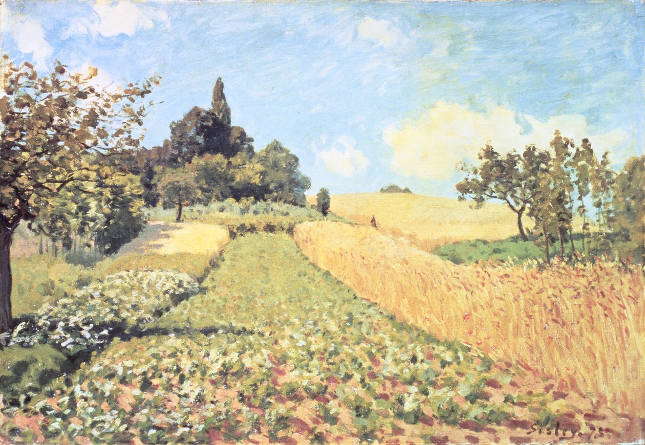 Pole Pszenicy (olej na płótnie) autorstwa Alfred Sisley