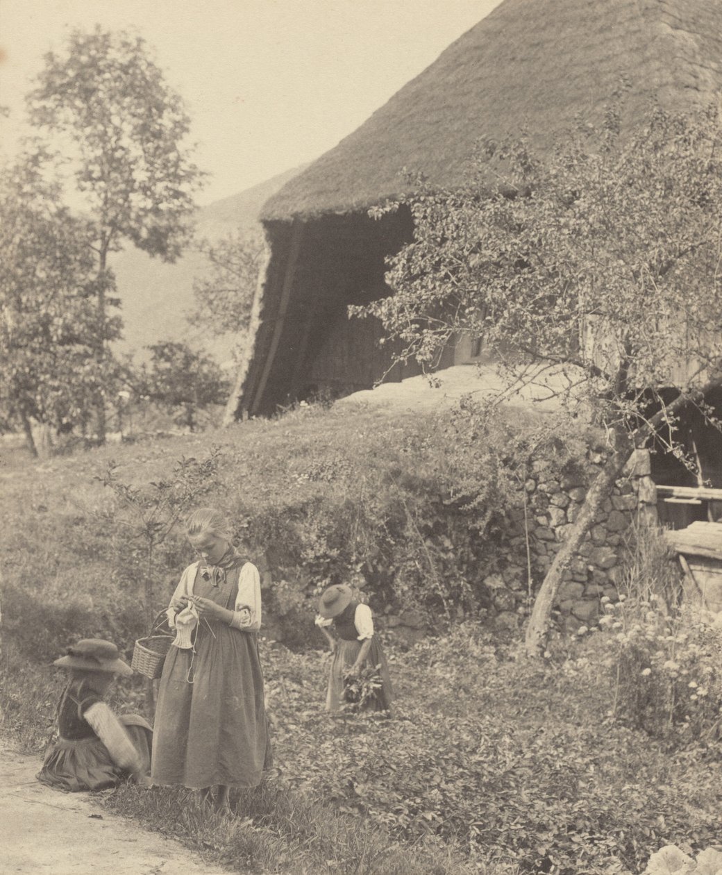 Trochę o Gutachu autorstwa Alfred Stieglitz