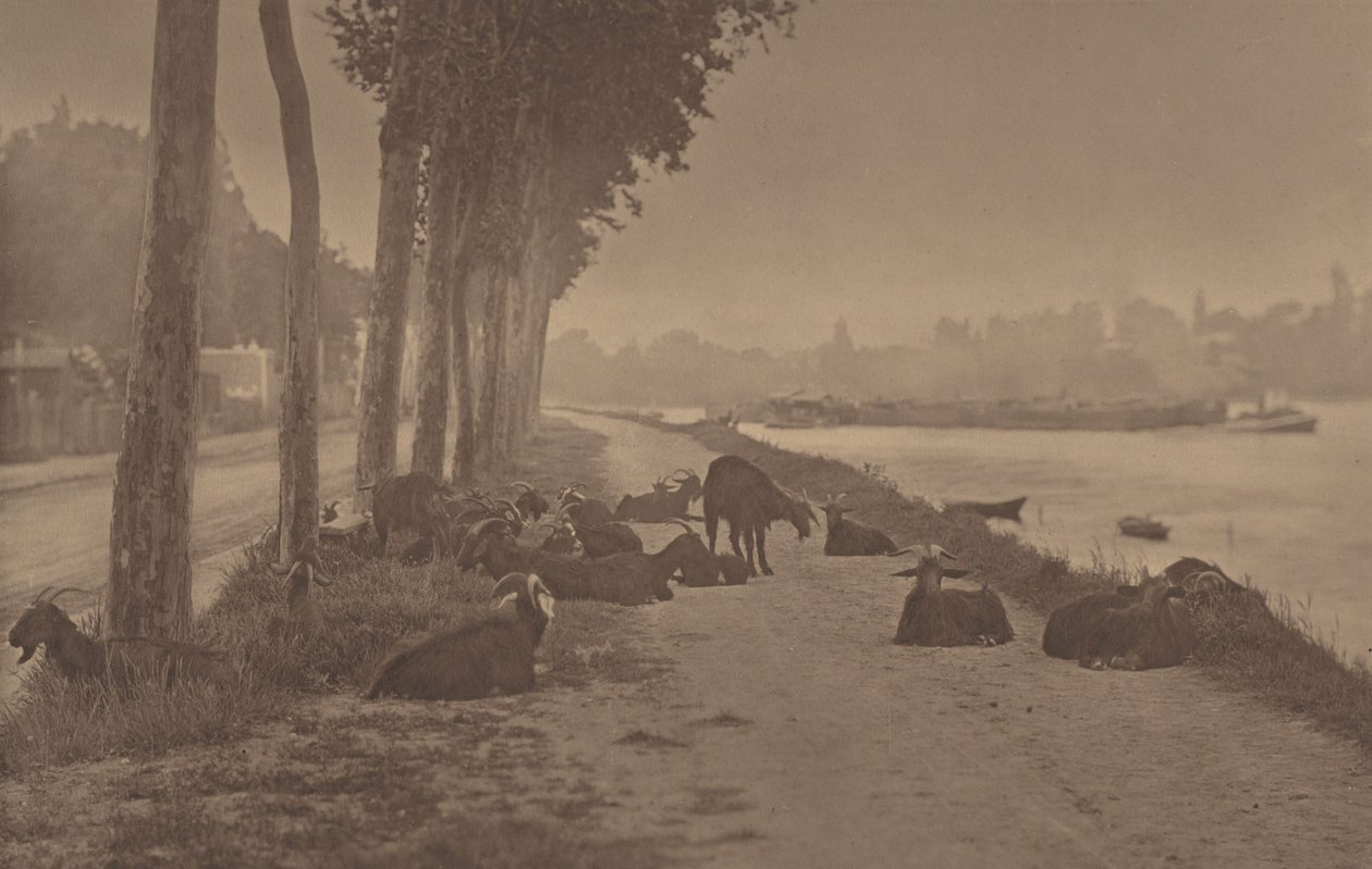 Panel dekoracyjny autorstwa Alfred Stieglitz