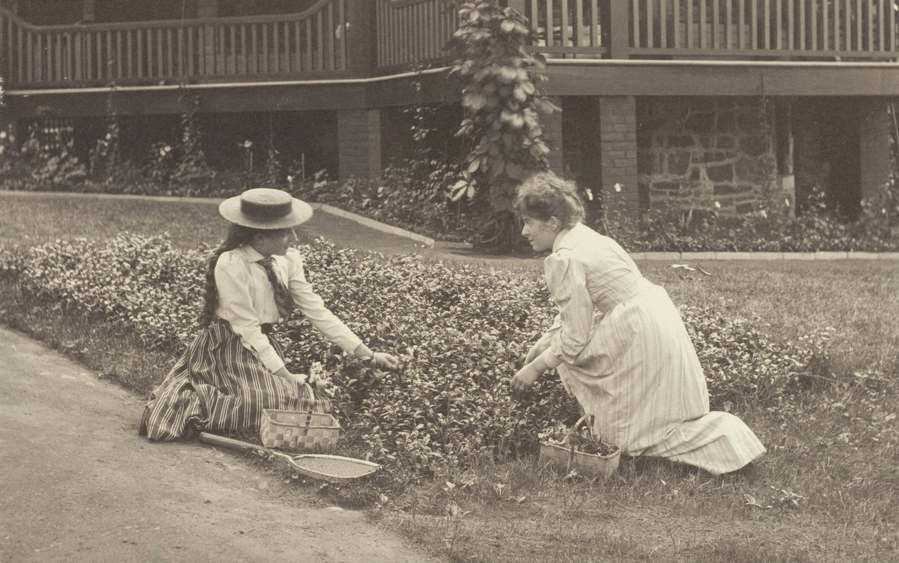 Klomb w Oaklawn autorstwa Alfred Stieglitz