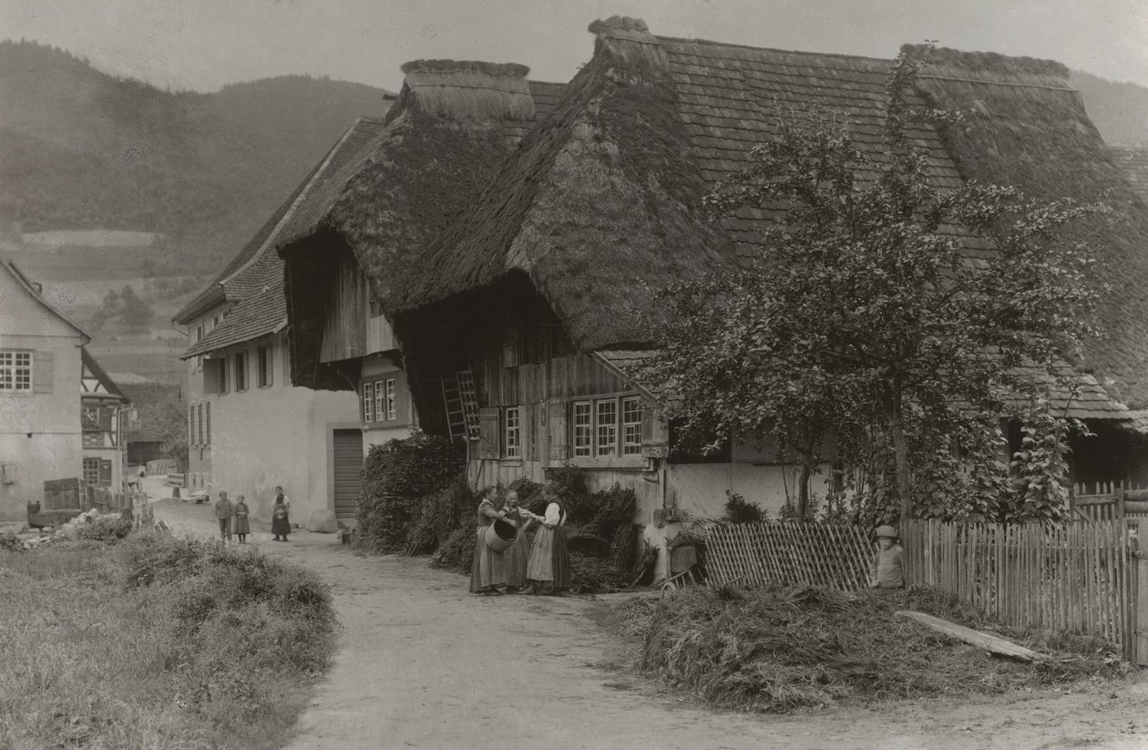 Spotkanie w Gutach autorstwa Alfred Stieglitz