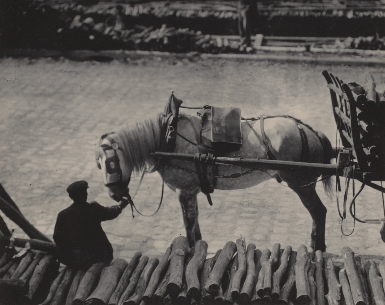 Migawka, Paryż autorstwa Alfred Stieglitz