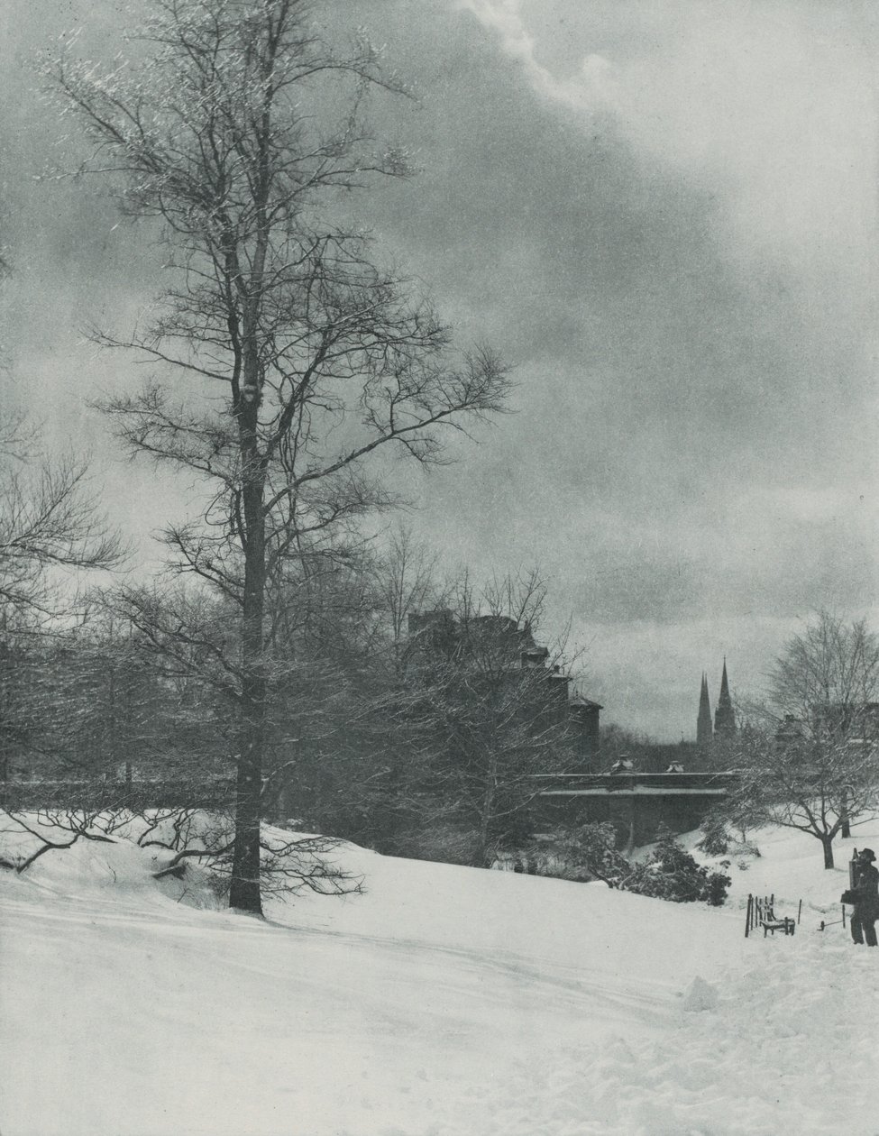 Zimowe niebo — Central Park autorstwa Alfred Stieglitz