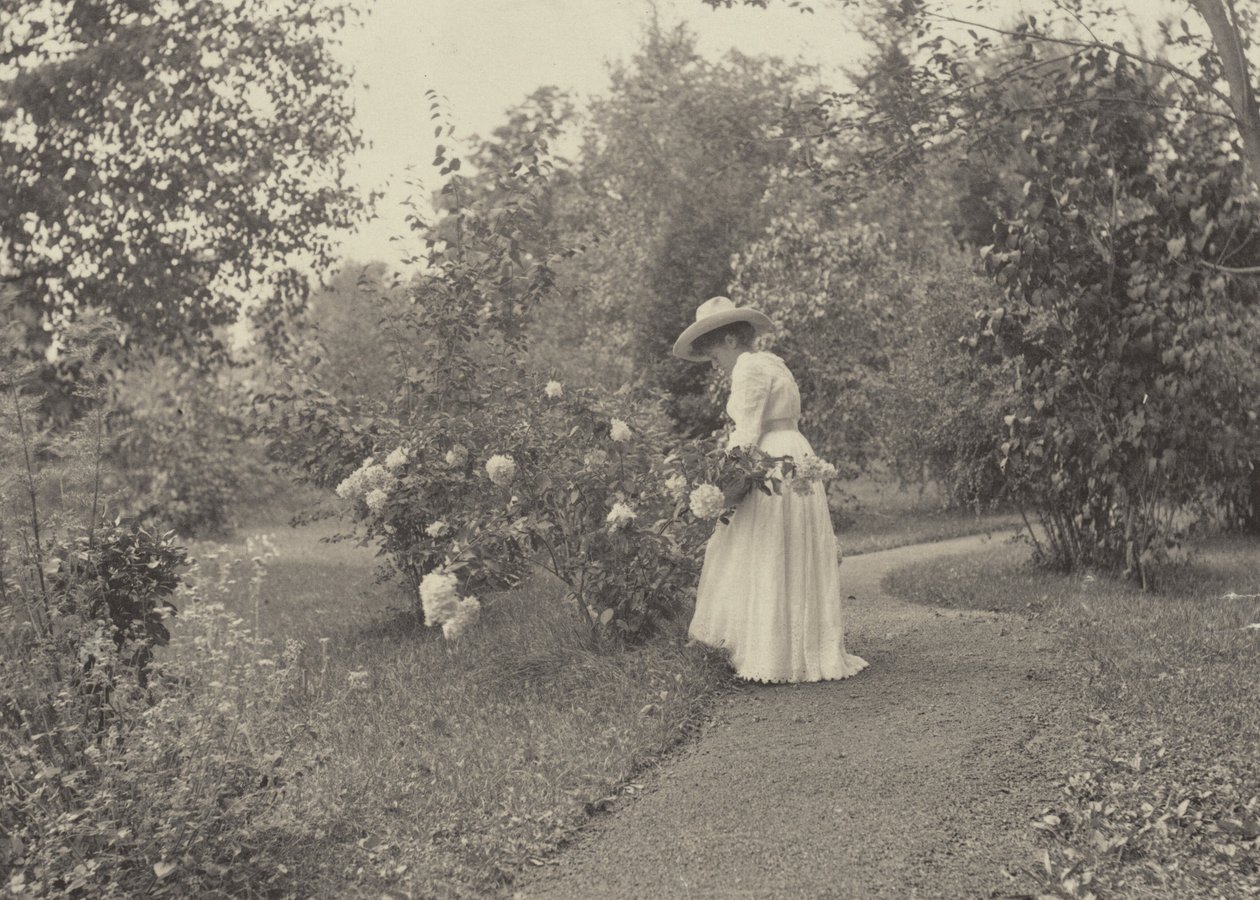 W Oaklawn autorstwa Alfred Stieglitz