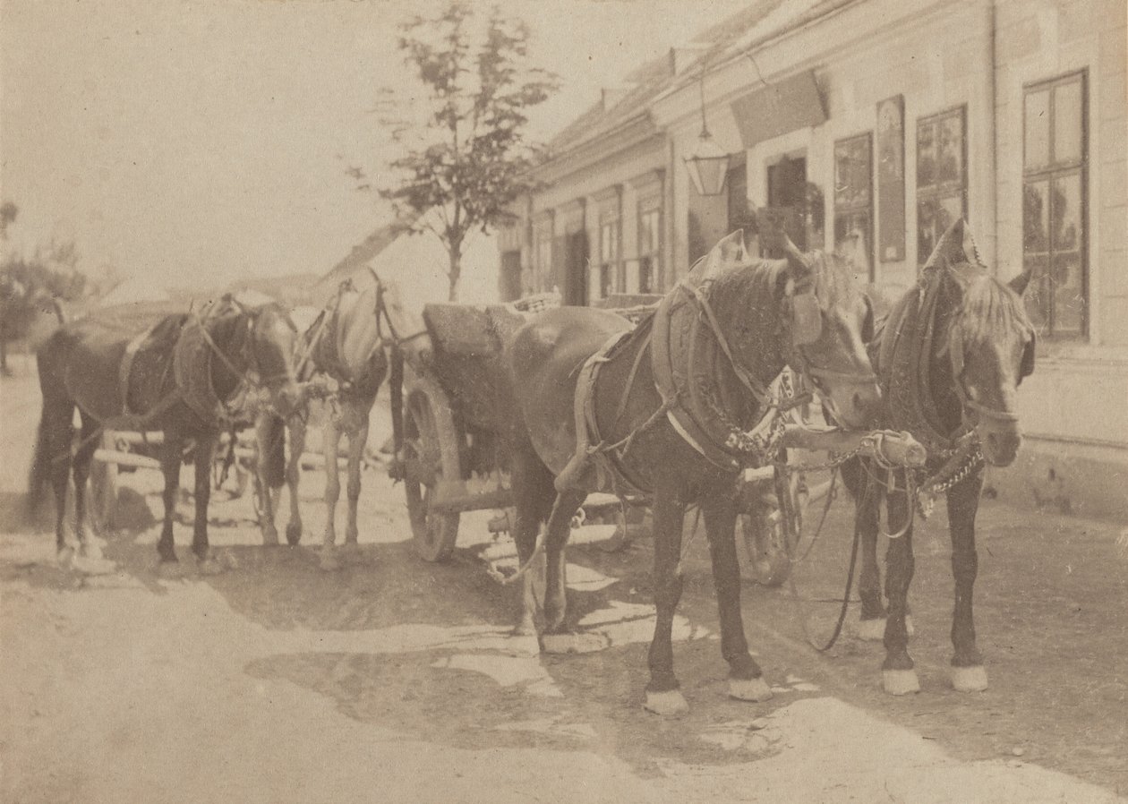 Przed tawerną autorstwa Alfred Stieglitz