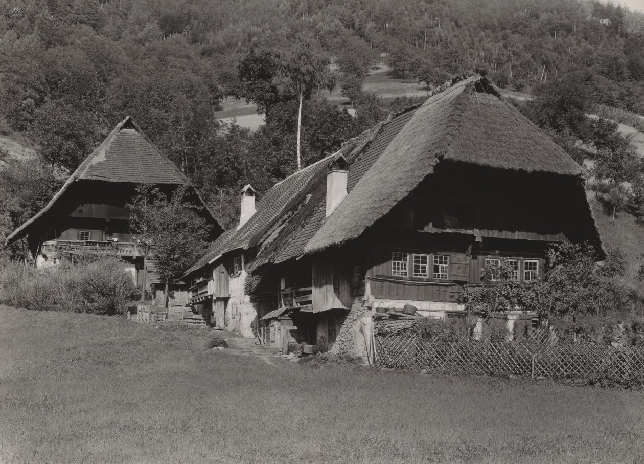 Dom w Czarnym Lesie autorstwa Alfred Stieglitz