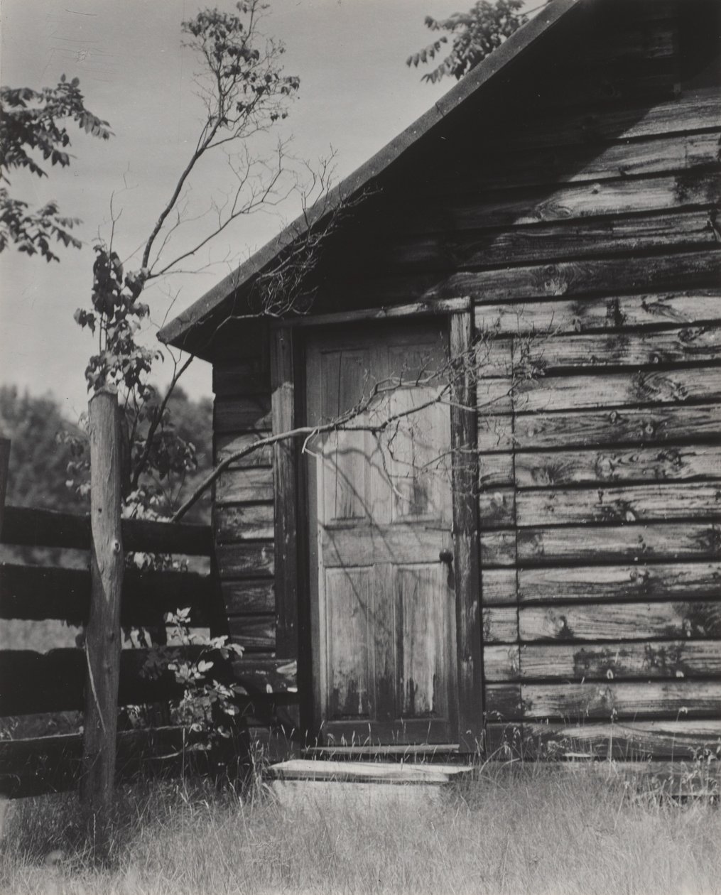Drzwi do chaty, jezioro George autorstwa Alfred Stieglitz