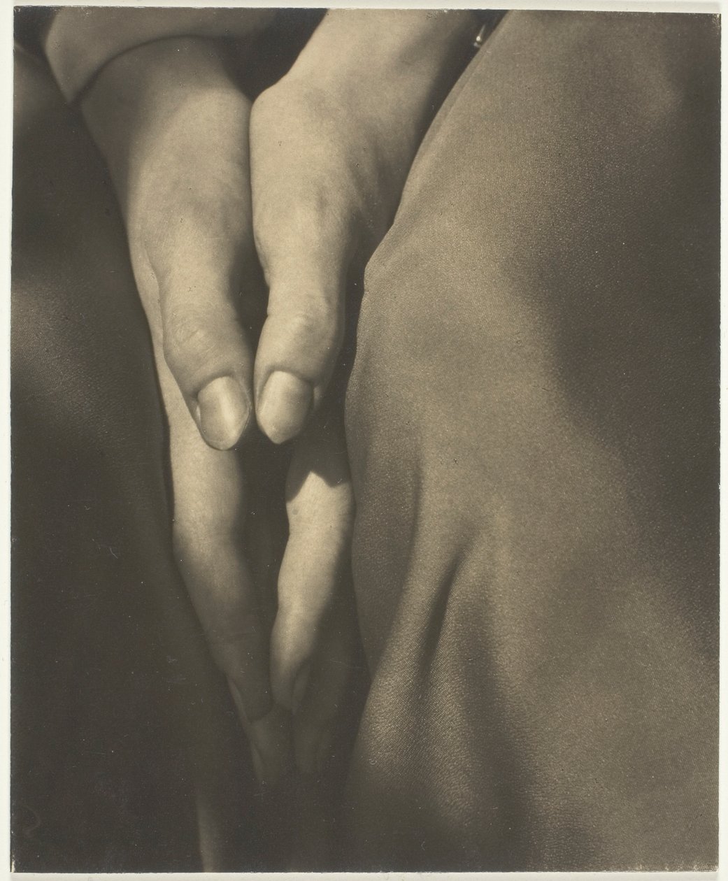 Dorota Norman autorstwa Alfred Stieglitz