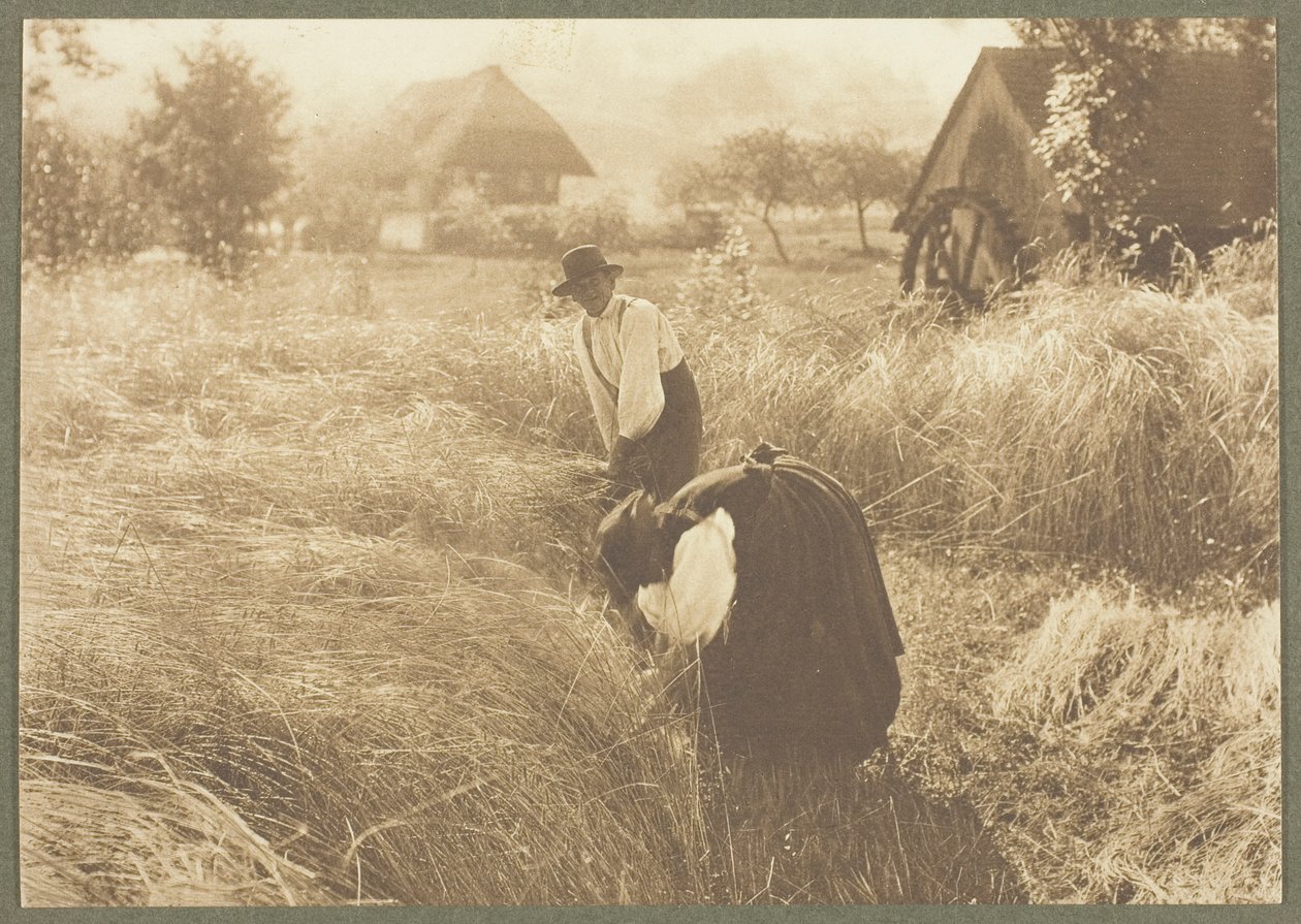 Wczesny poranek autorstwa Alfred Stieglitz