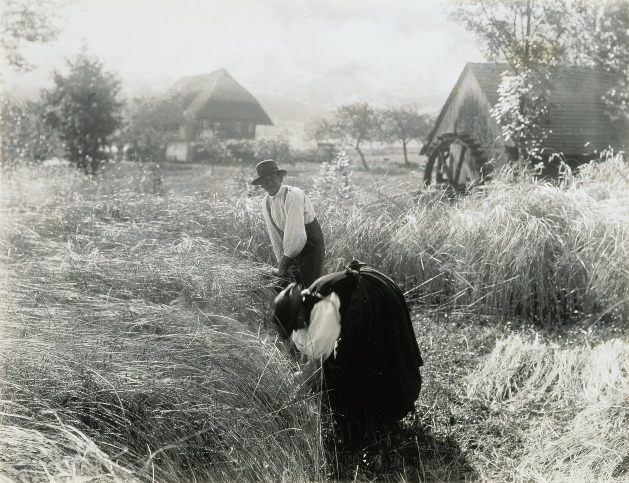 Wczesny poranek autorstwa Alfred Stieglitz