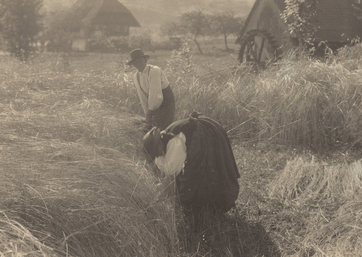 Wczesny ranek autorstwa Alfred Stieglitz