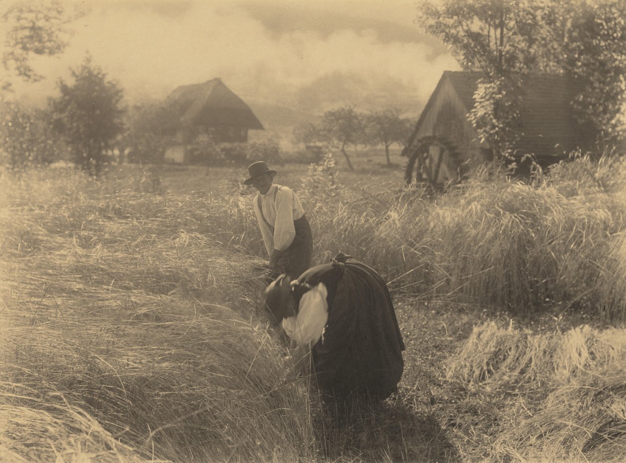 Wczesny poranek autorstwa Alfred Stieglitz
