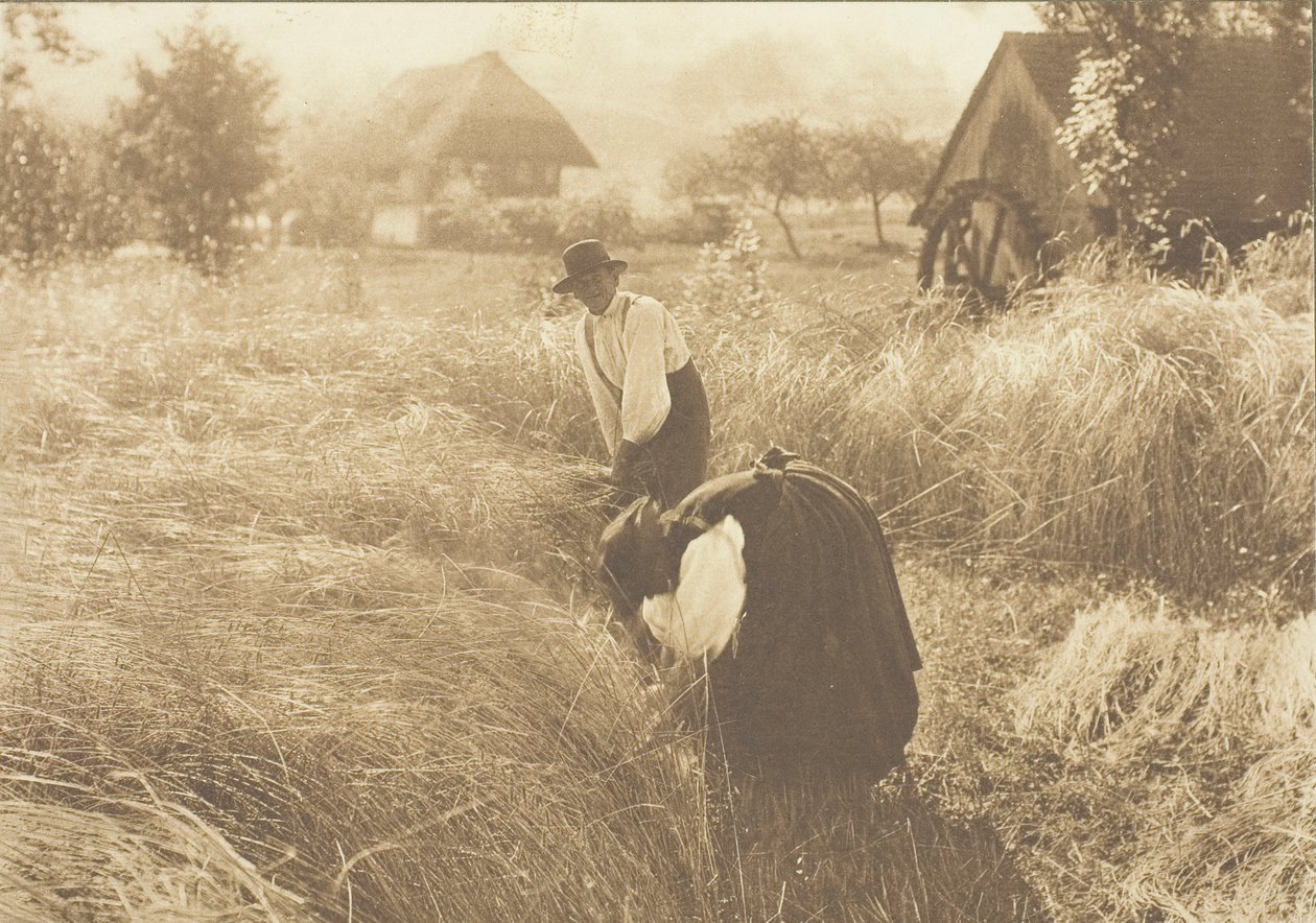Wczesny poranek 1894. autorstwa Alfred Stieglitz