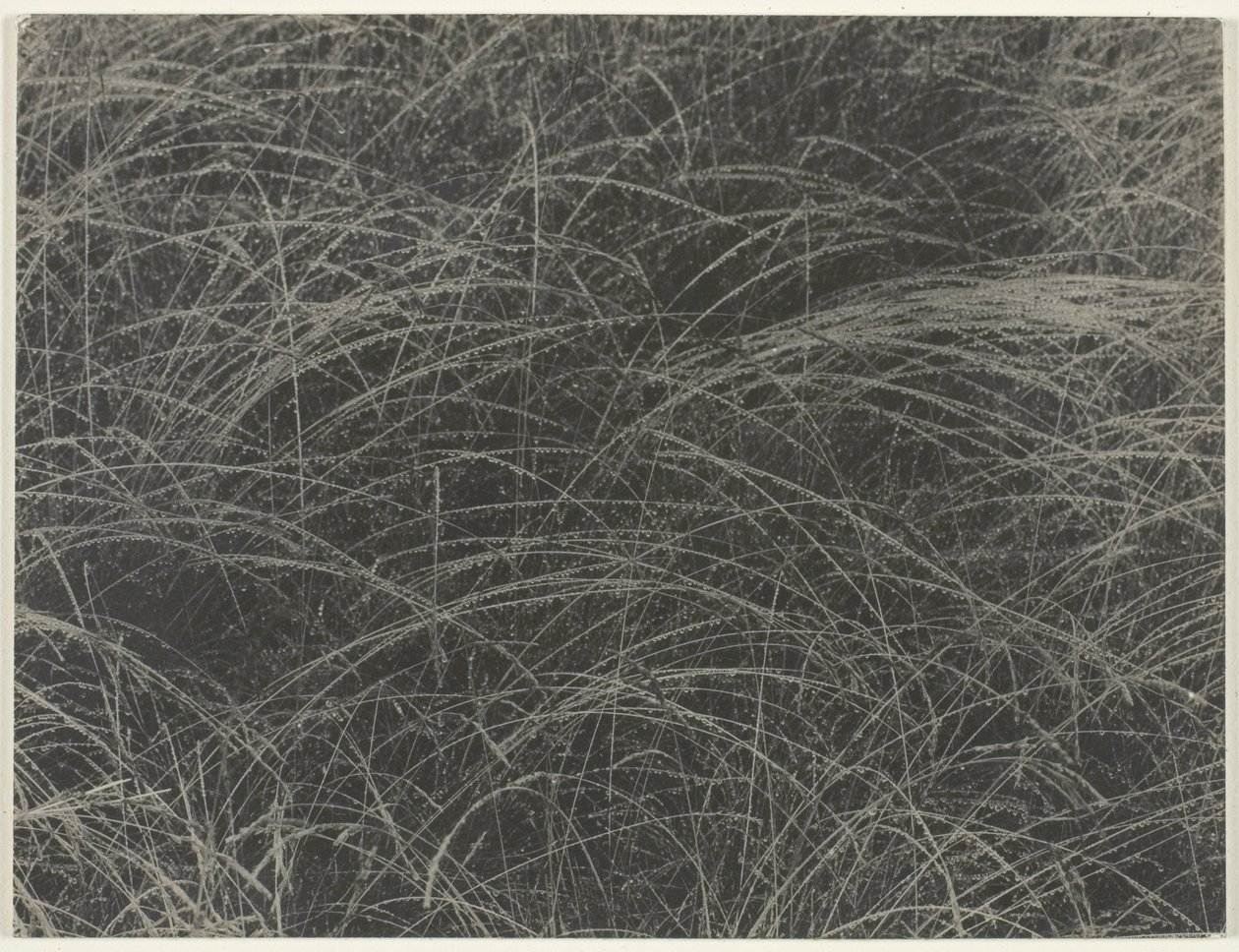 Równowartość autorstwa Alfred Stieglitz