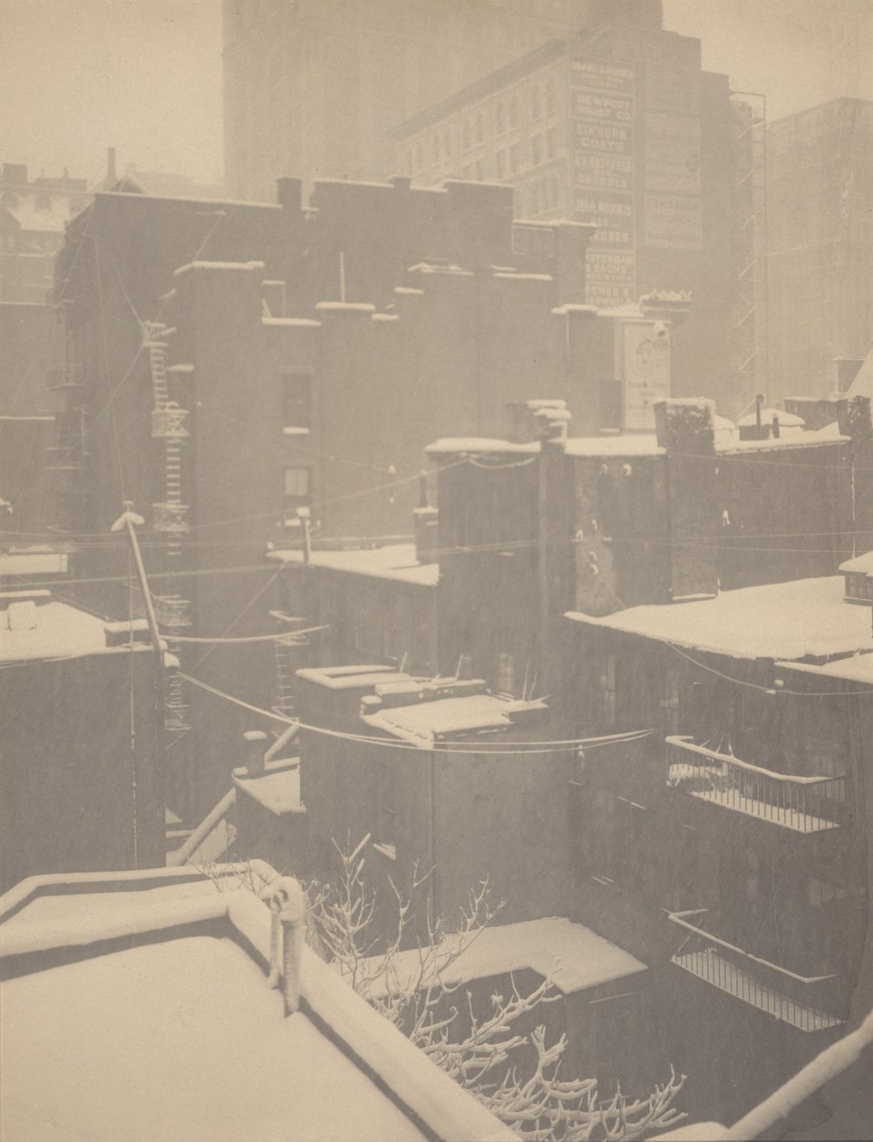 Z tylnego okna - 291 autorstwa Alfred Stieglitz