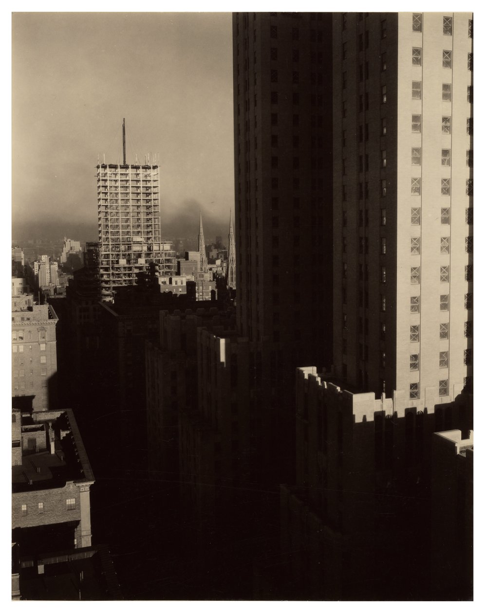 Z Shelton autorstwa Alfred Stieglitz