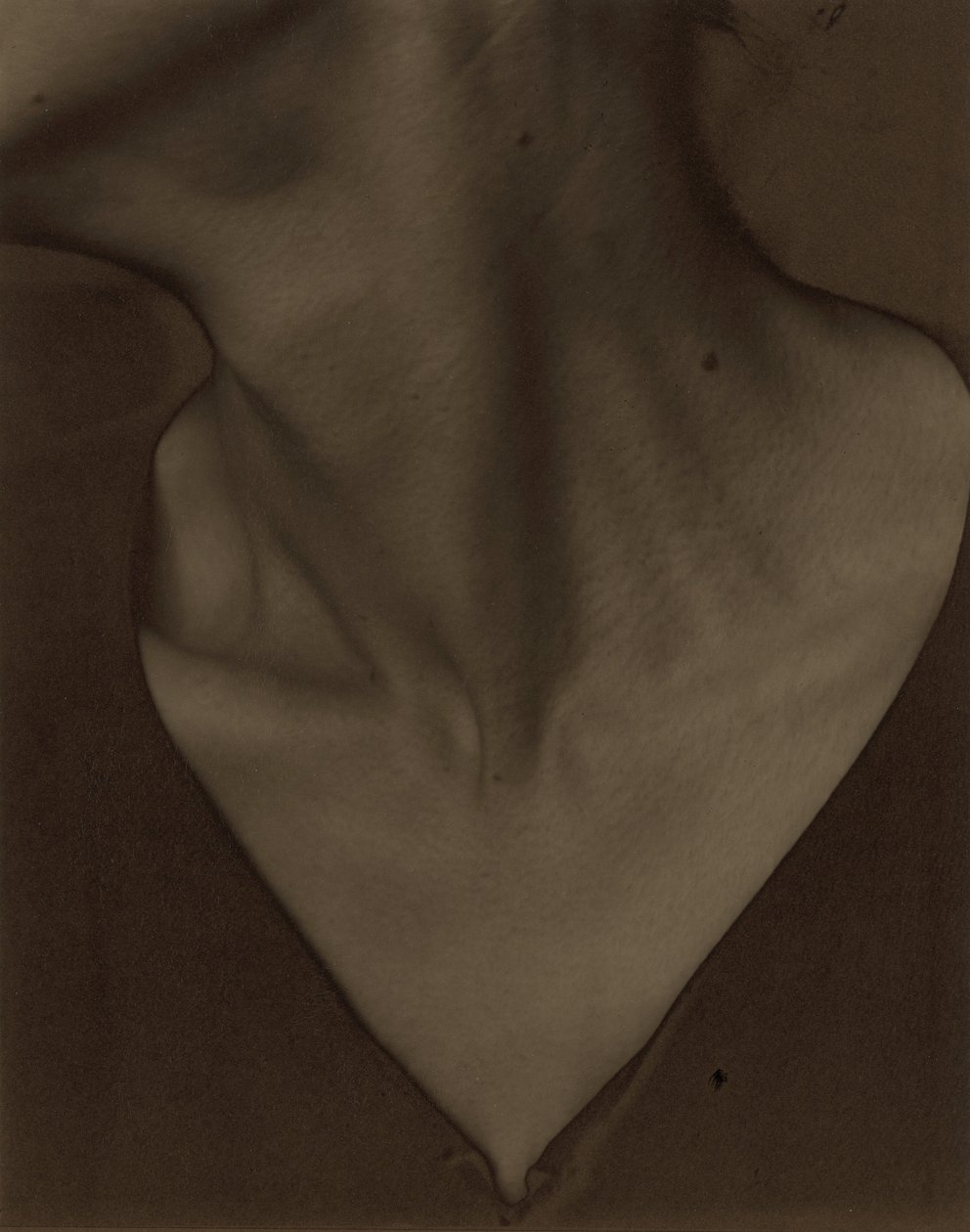 Georgia O’Keeffe — Szyja autorstwa Alfred Stieglitz