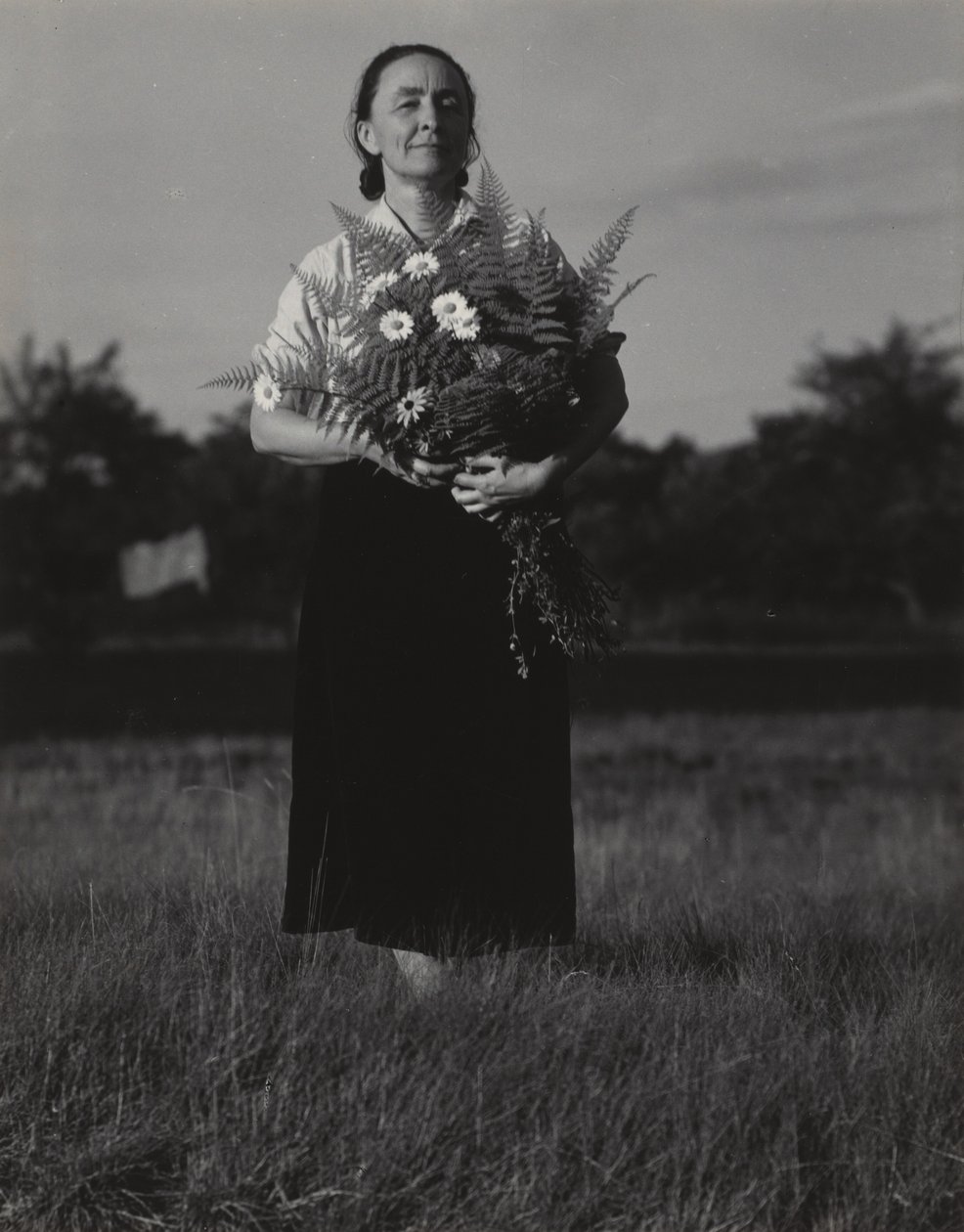 Georgia O’Keeffe autorstwa Alfred Stieglitz
