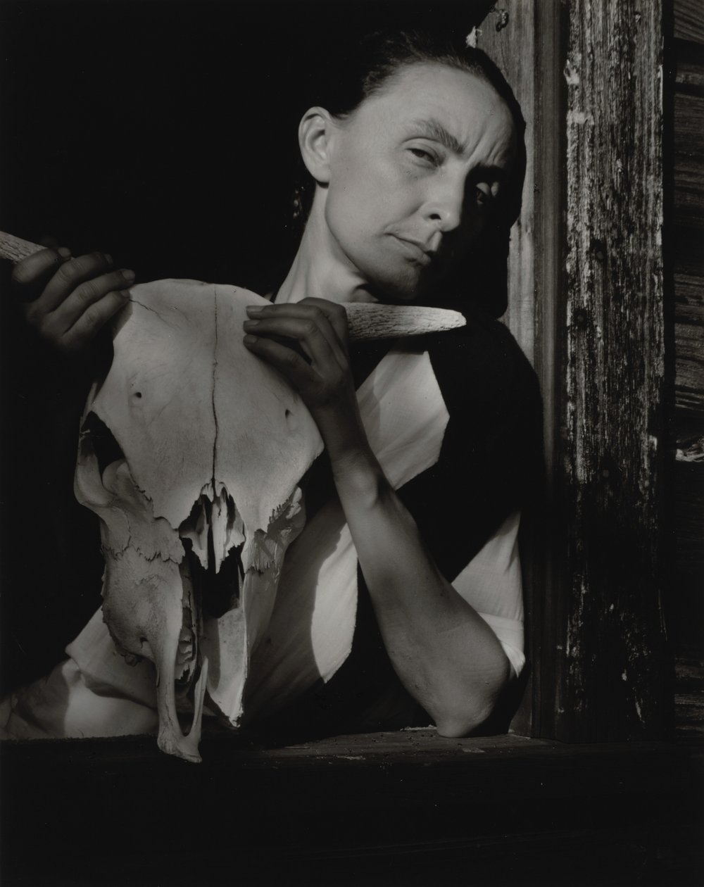 Georgia O’Keeffe autorstwa Alfred Stieglitz