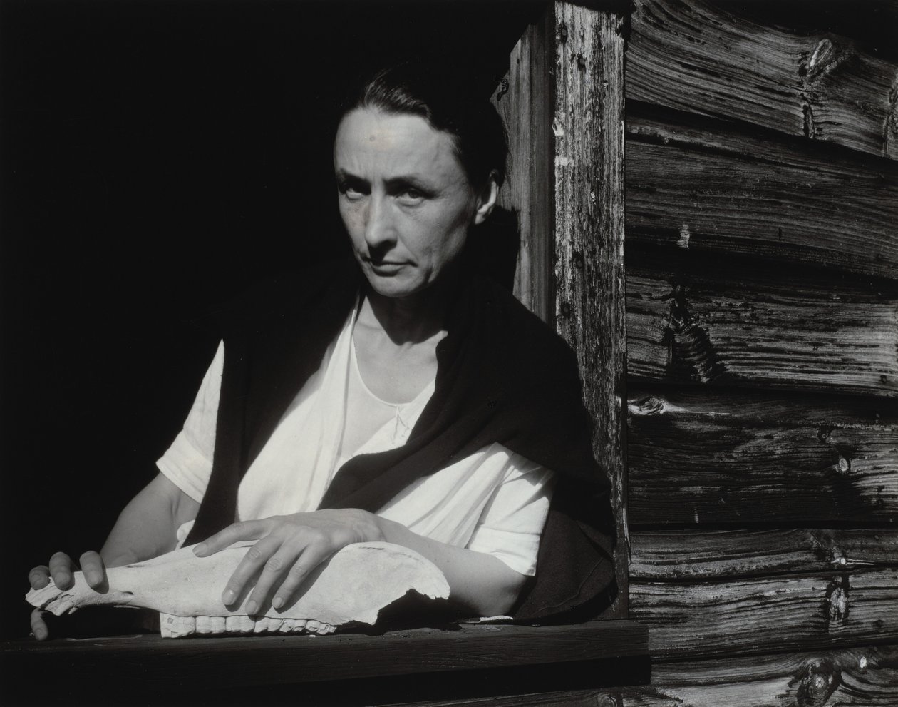 Georgia O’Keeffe autorstwa Alfred Stieglitz