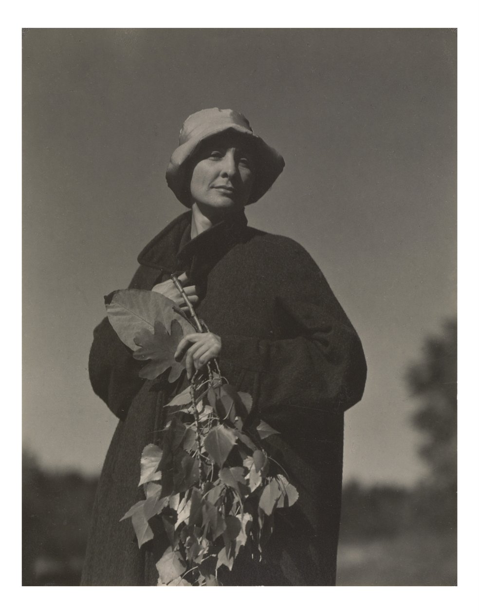 Georgia O’Keeffe autorstwa Alfred Stieglitz