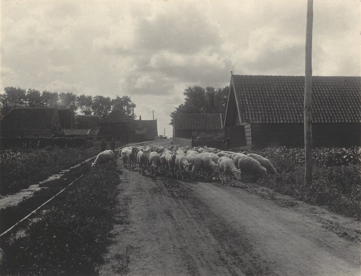 W drodze na pastwisko autorstwa Alfred Stieglitz